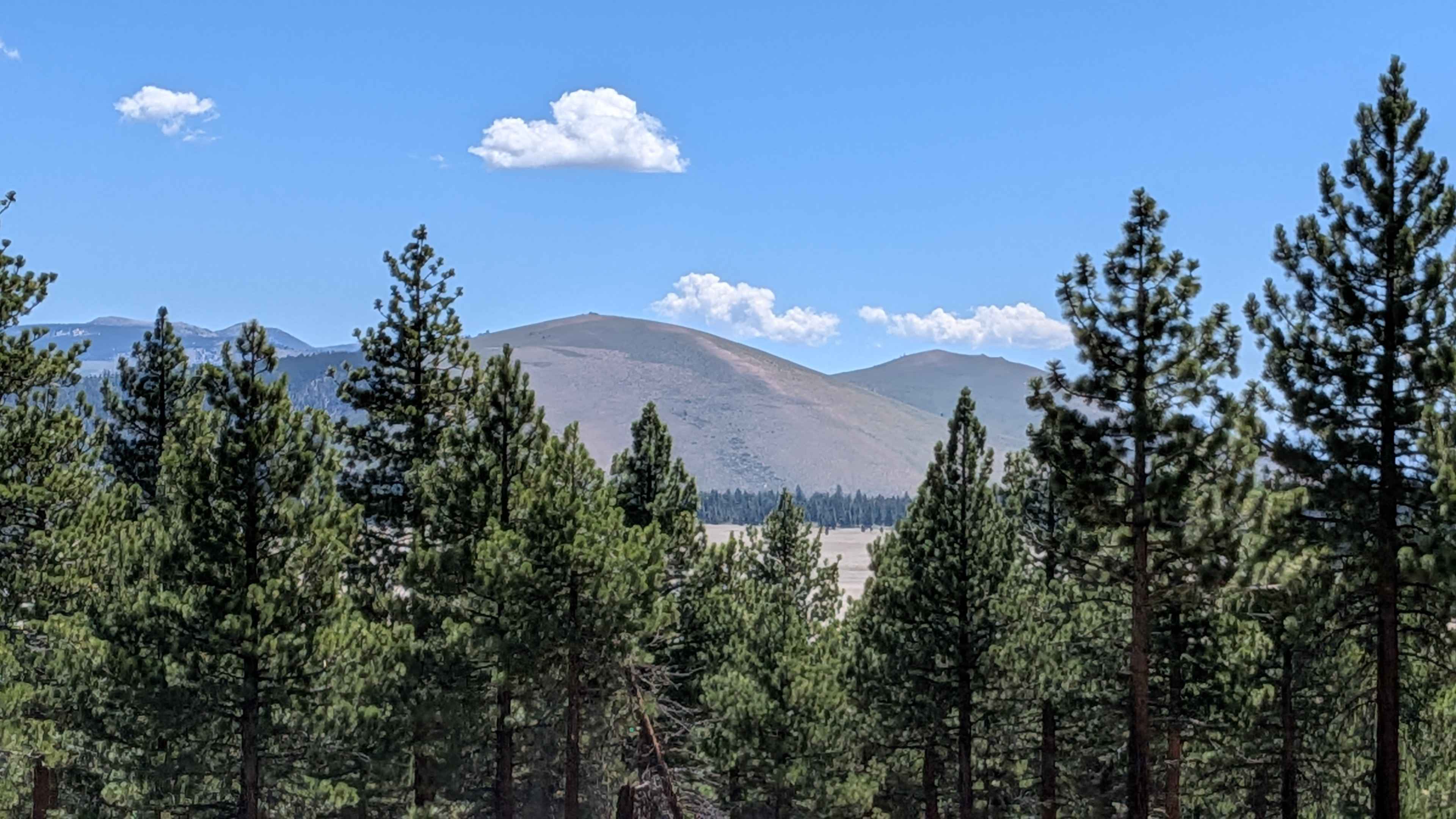 Forest Service Road 1S133