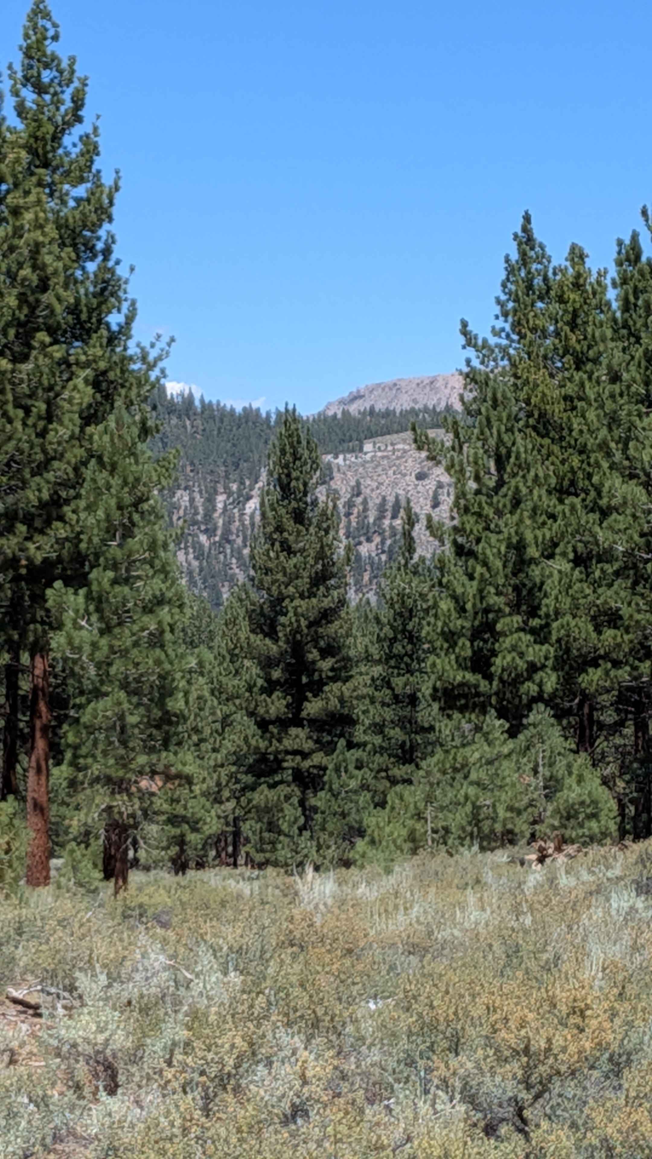 Forest Service Road 2S129