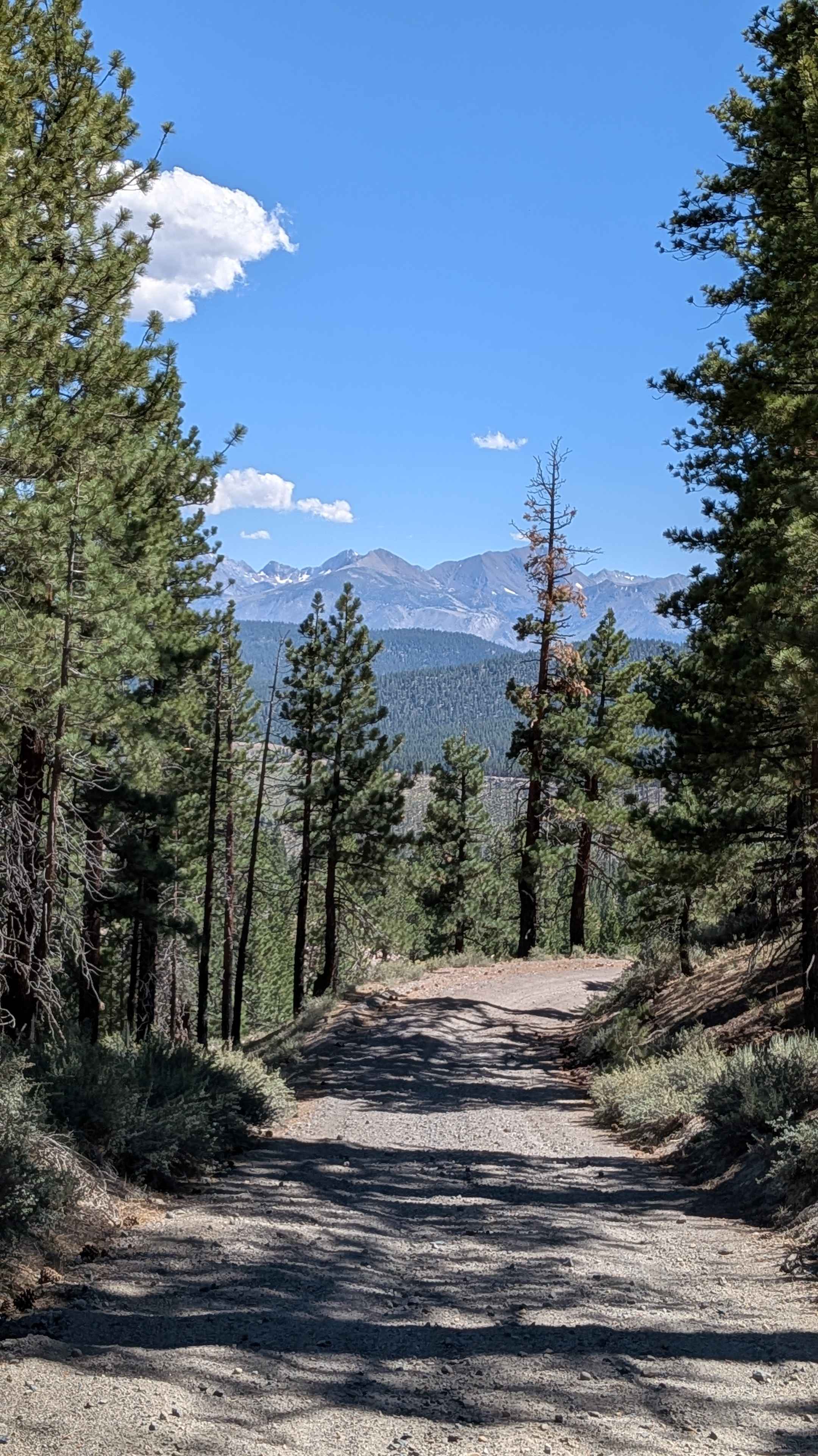 Big Springs Road FS 32E601