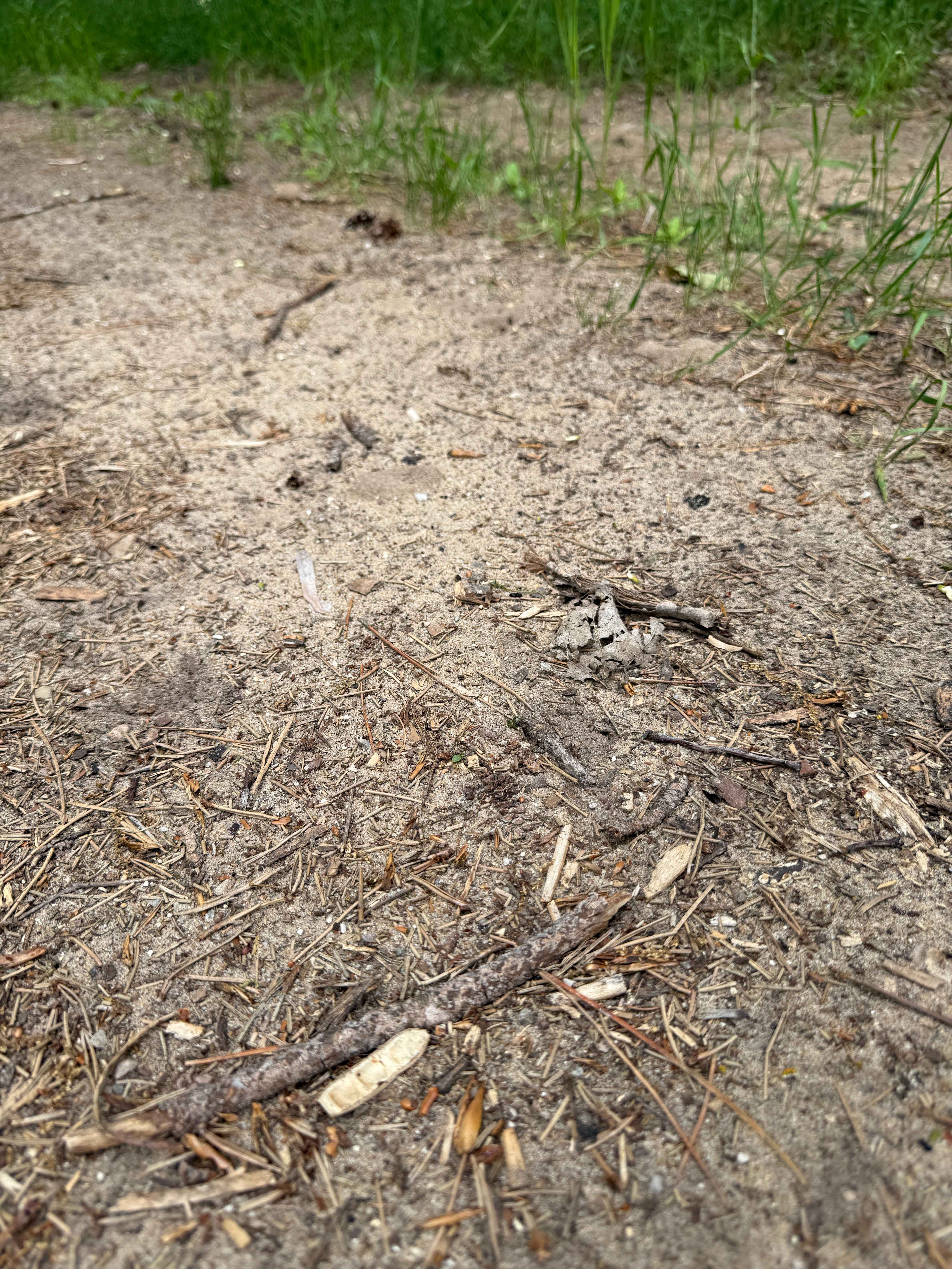 Broomhead Trail South