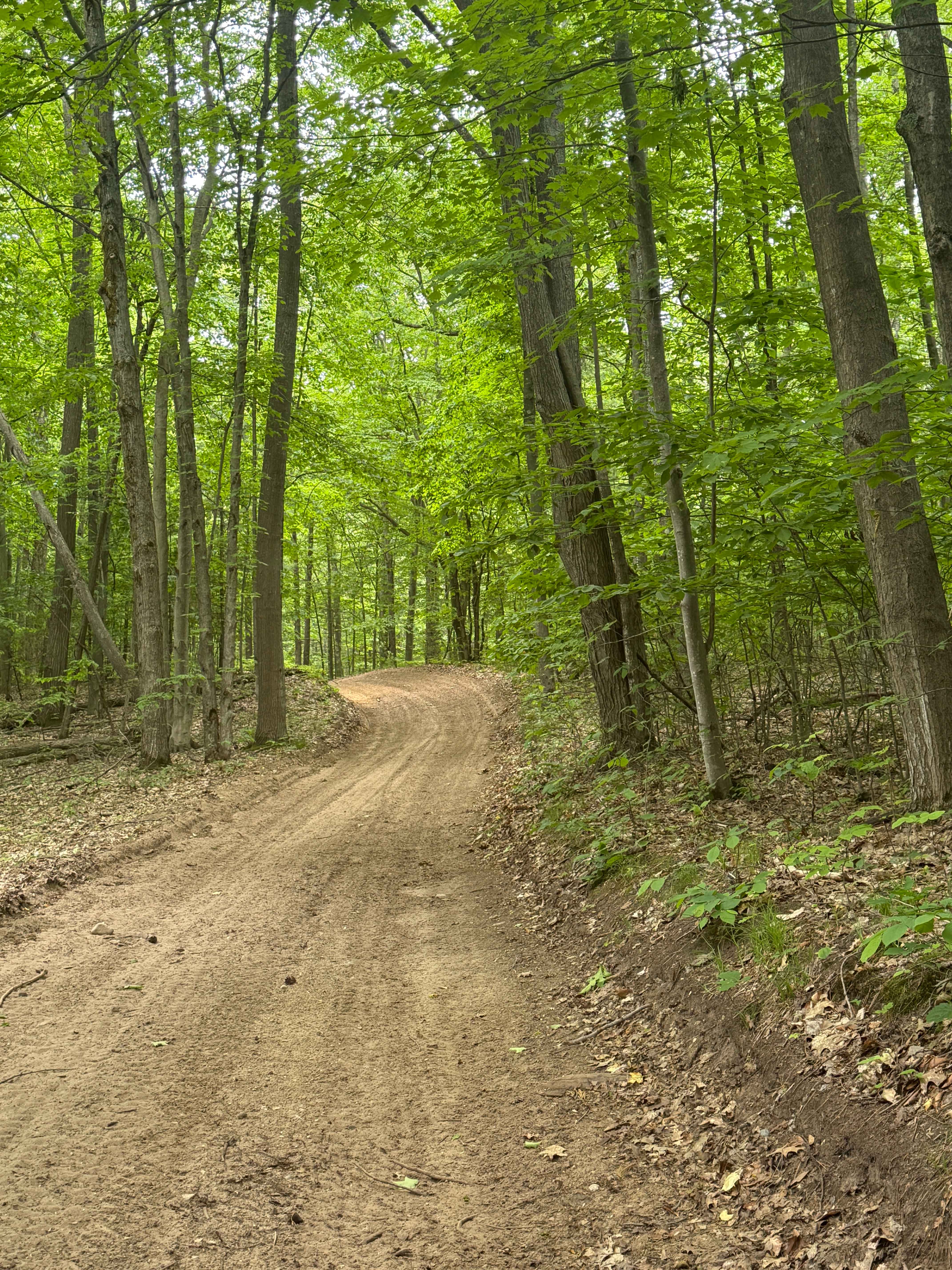 Broomhead Trail South