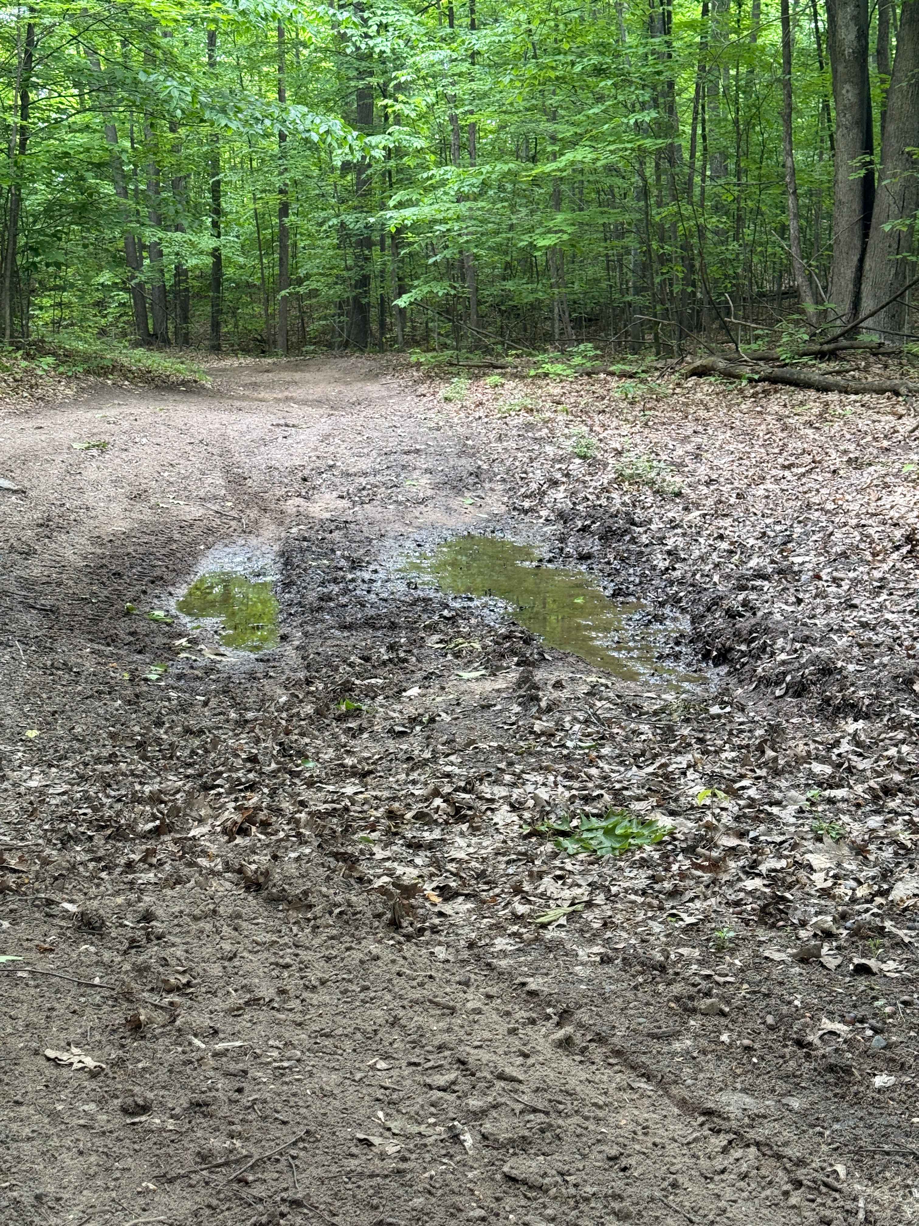 Kalverse Trail North