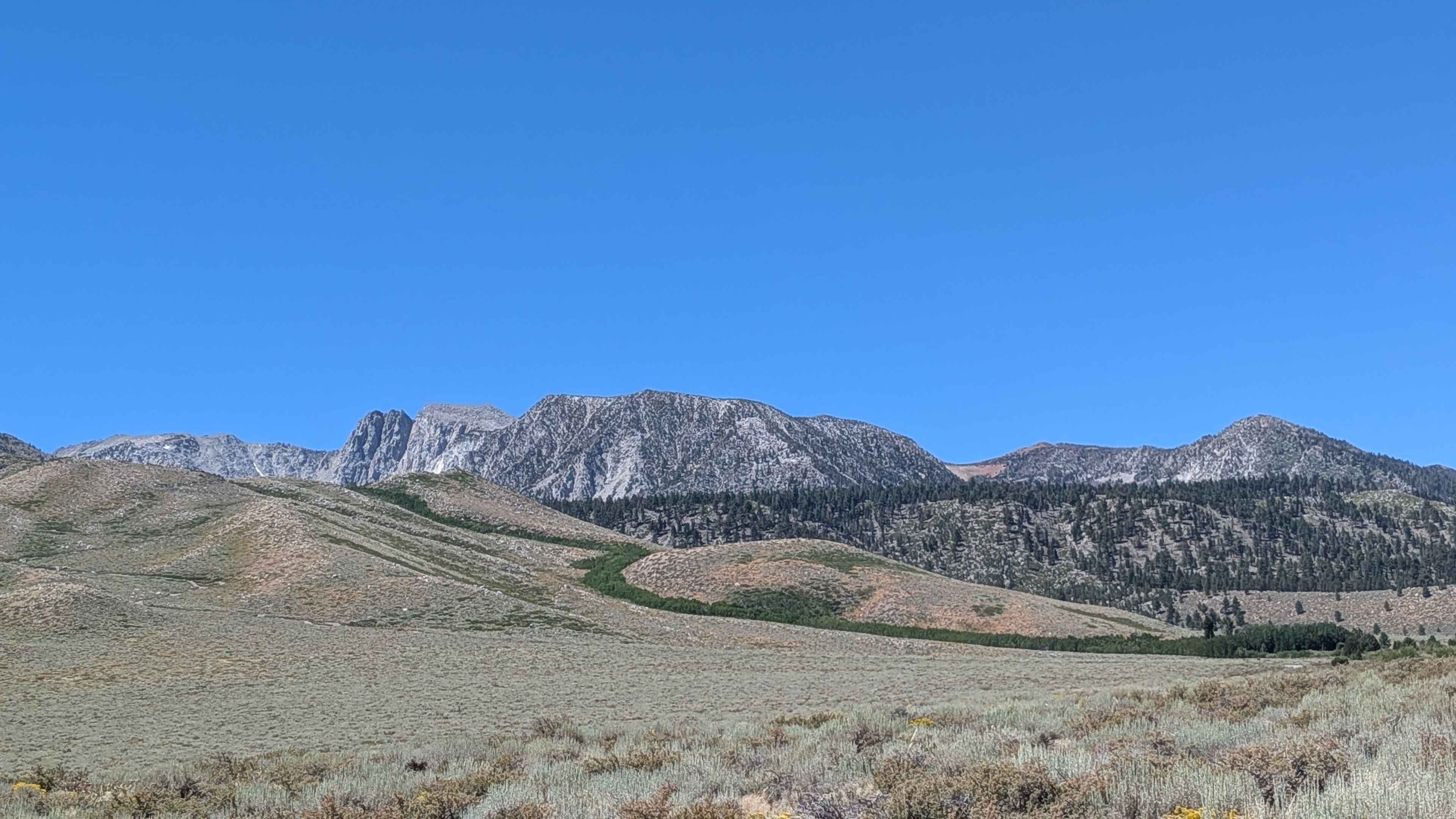 FS 4S31J/ FS 4S31A Loop