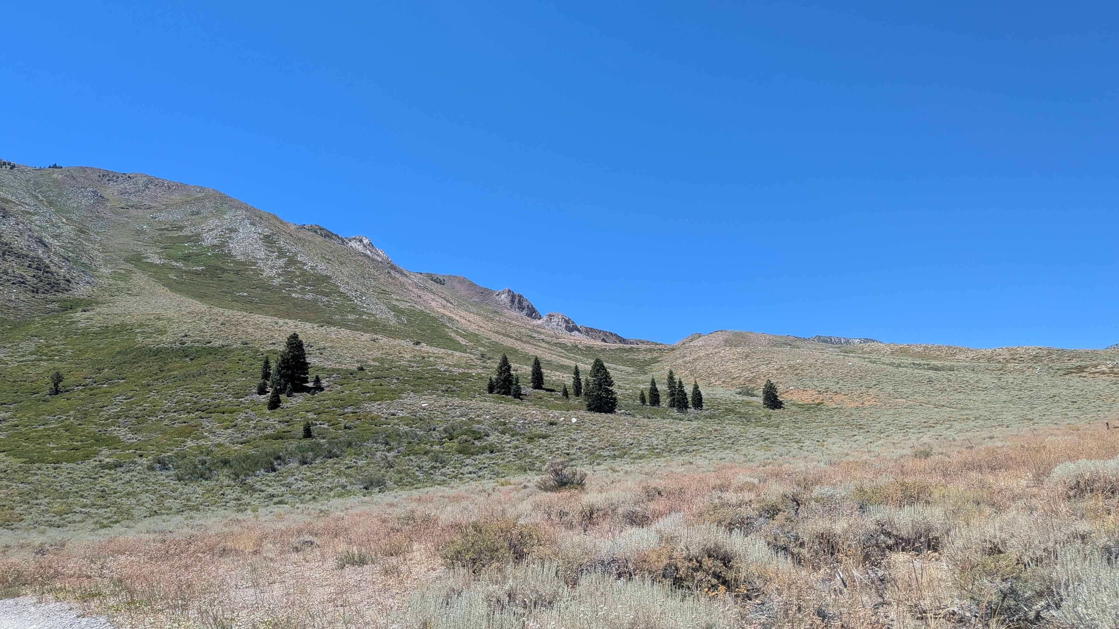 FS 4S31J/ FS 4S31A Loop