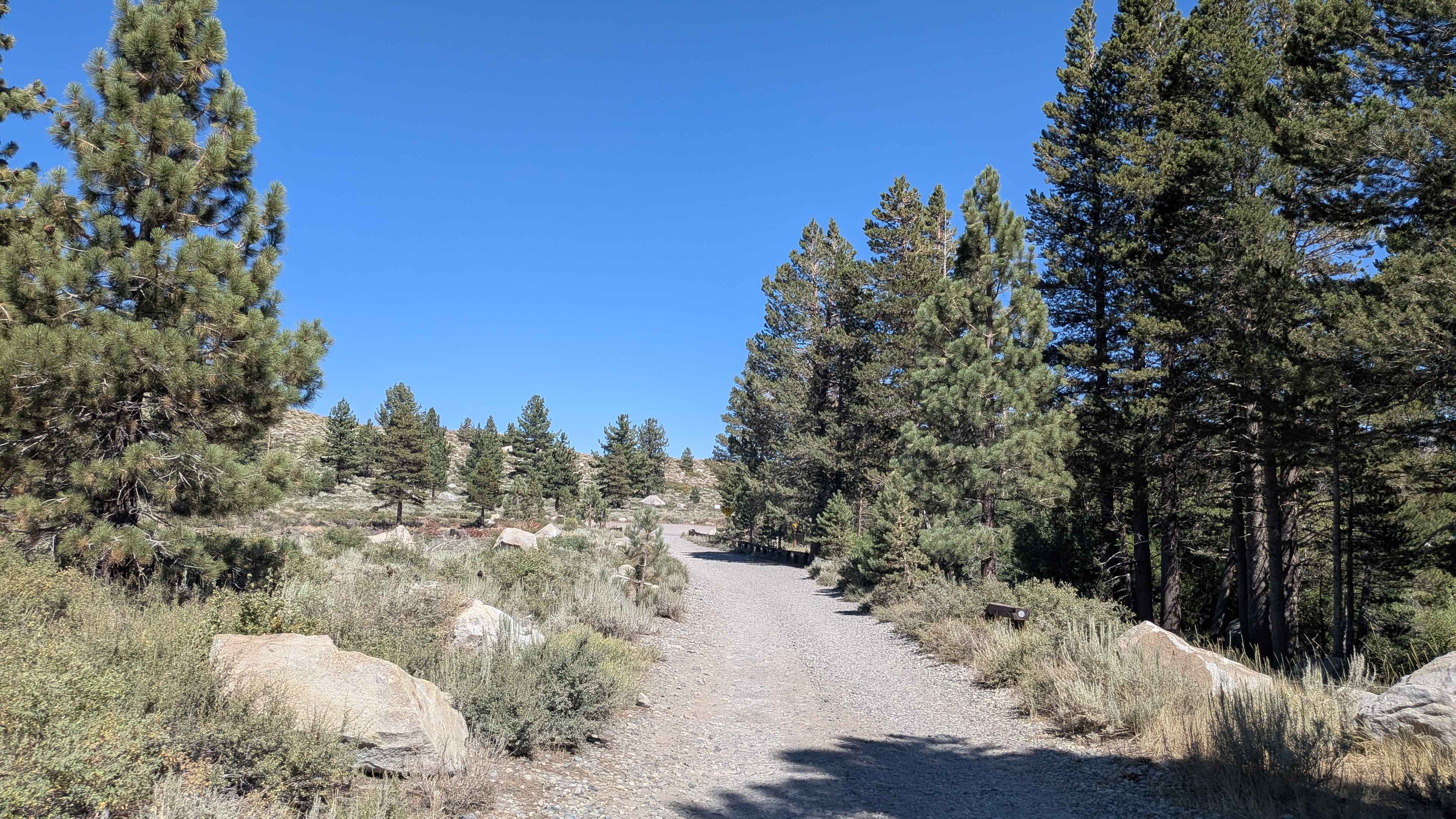 Mammoth Creek Road - FS 3S09