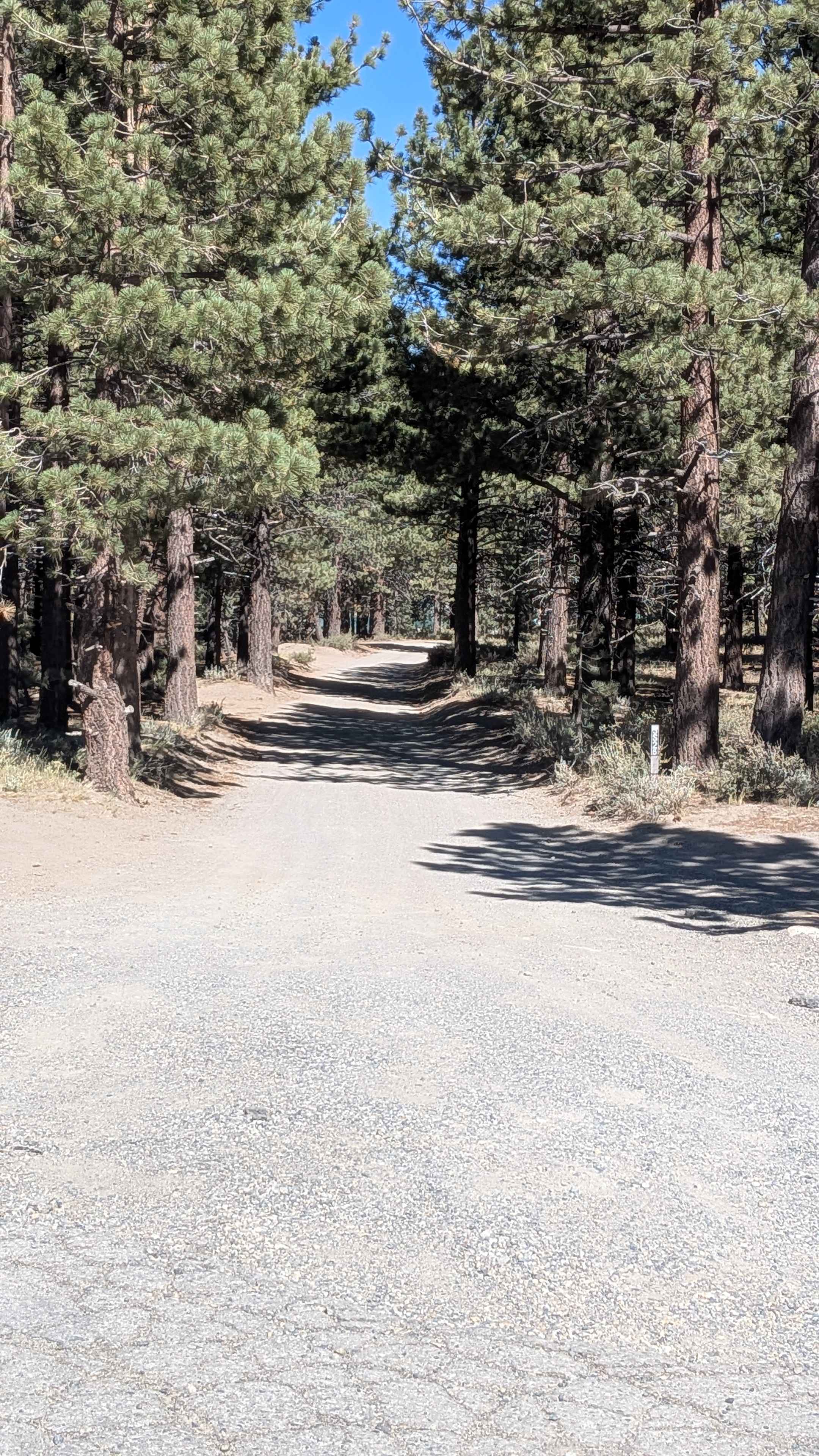 Mammoth Knolls Loop FS 3S123