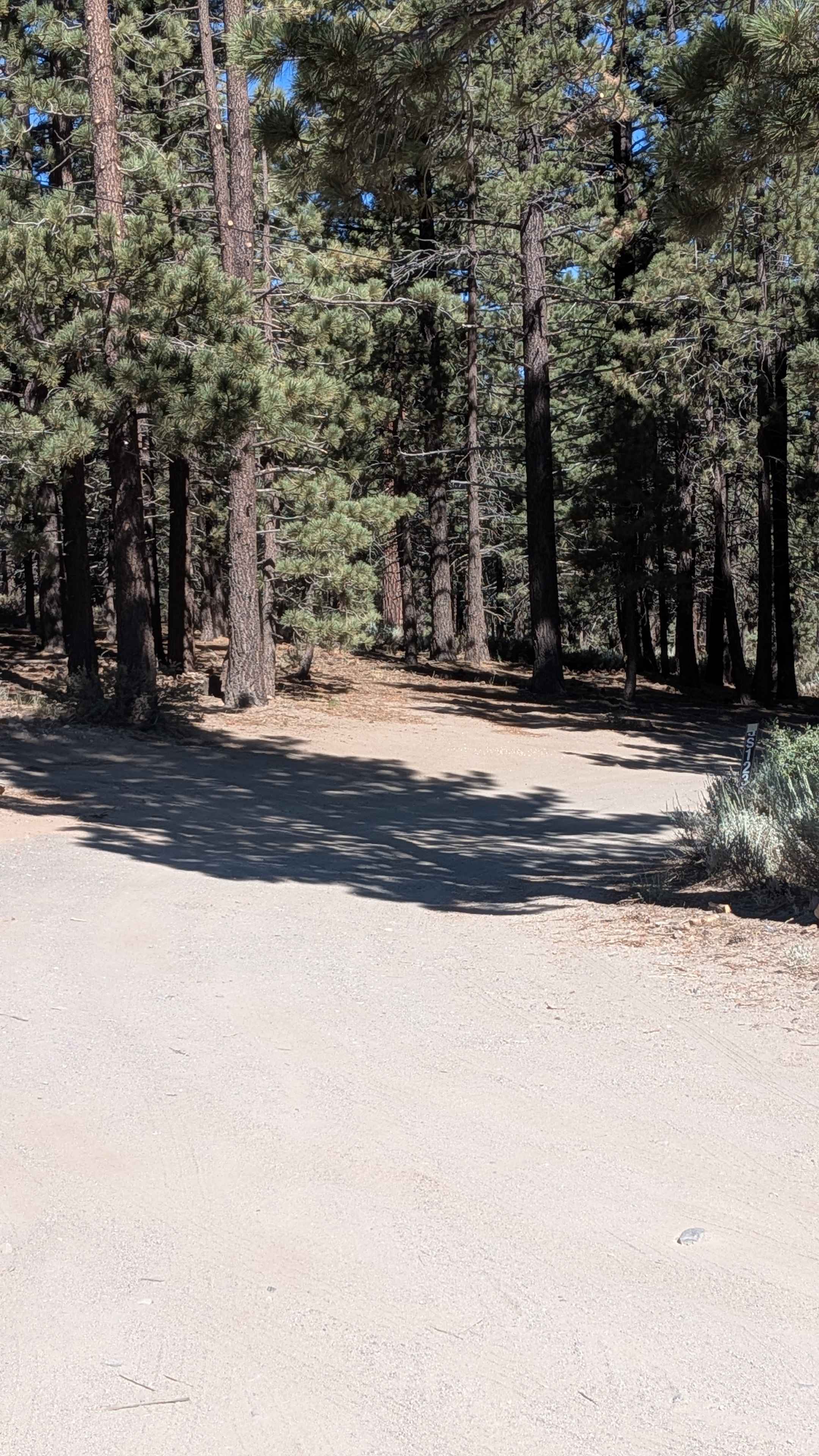 Mammoth Knolls Loop FS 3S123