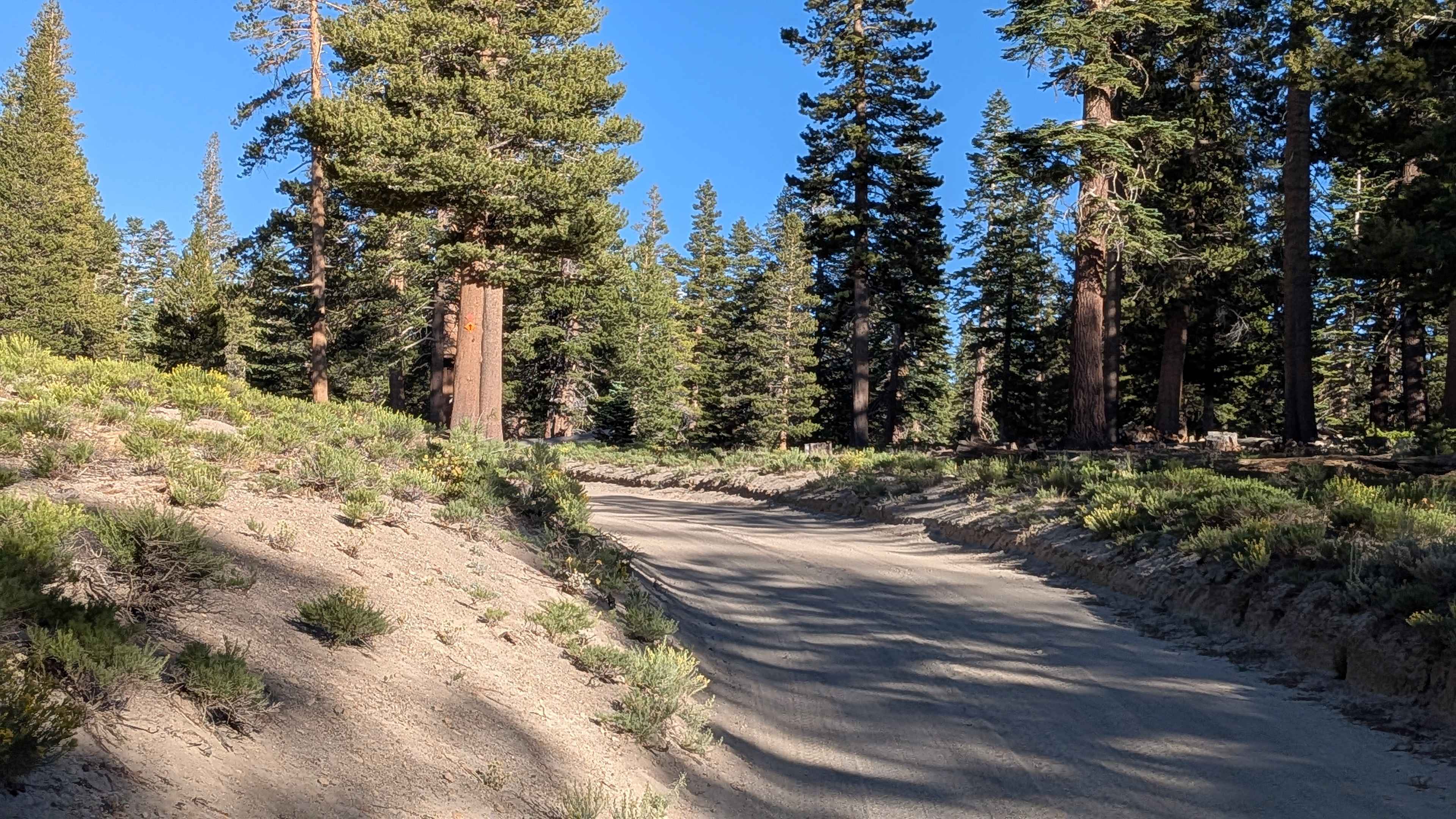 Sawmill Gap Cutoff FS3S33