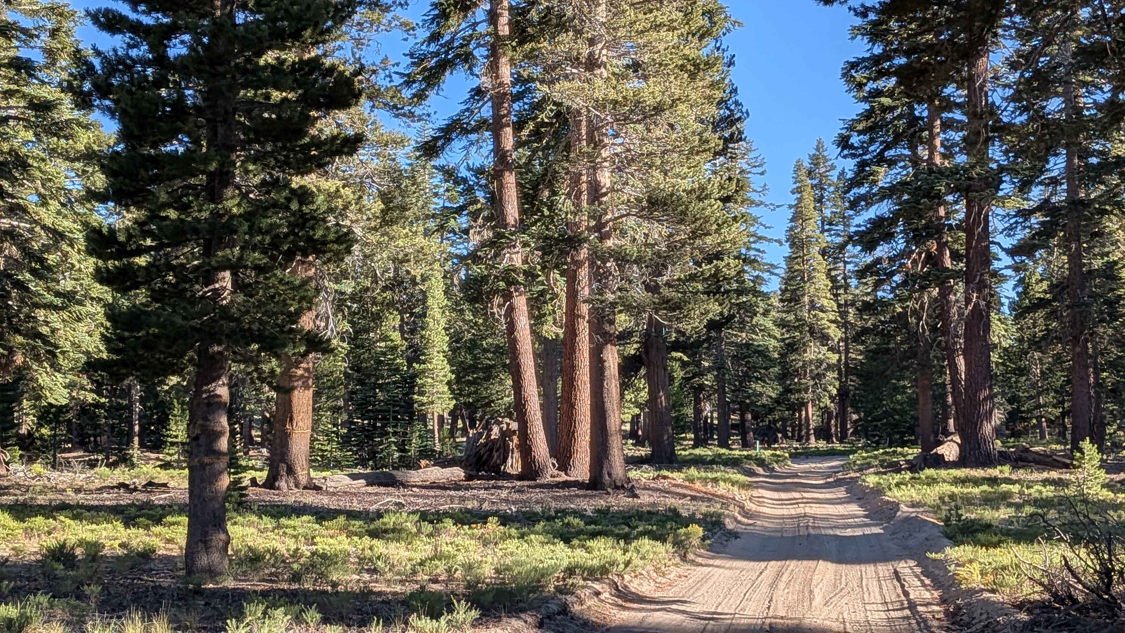 Sawmill Gap Cutoff FS3S33