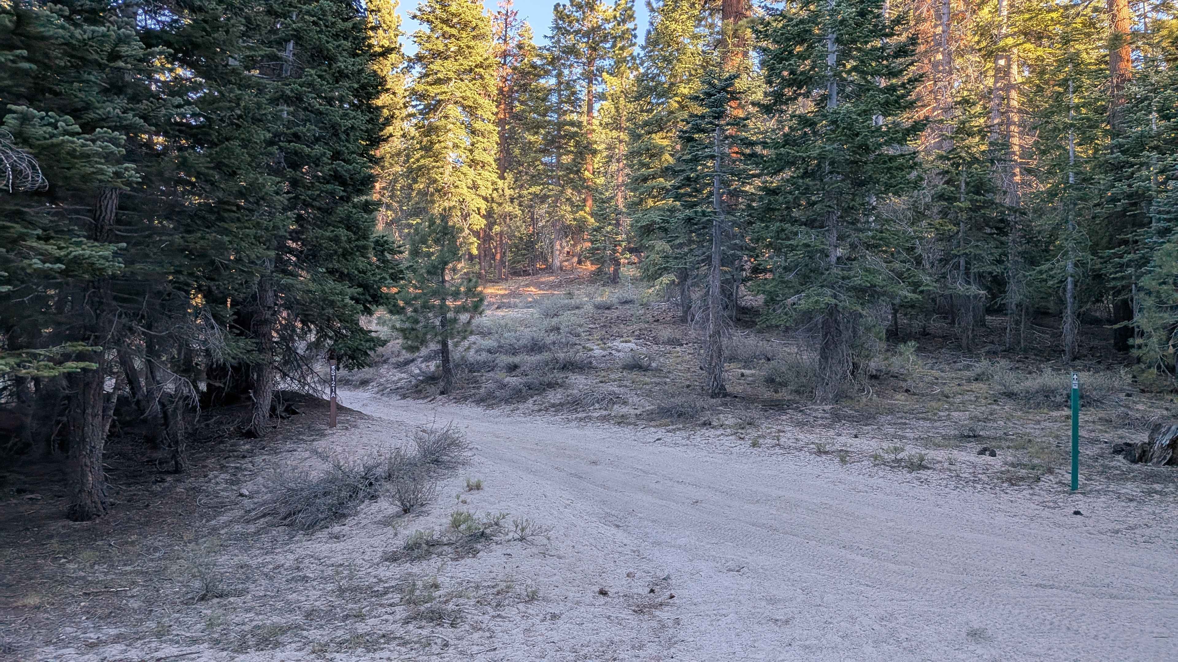 Forest Service Road 3S121A