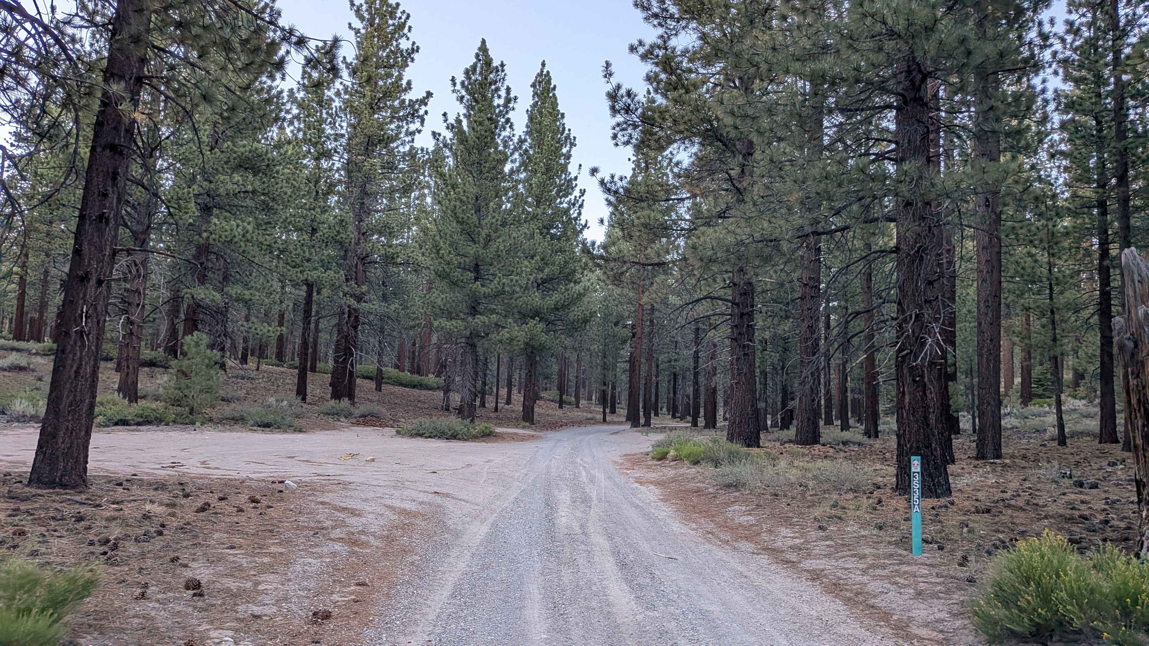 Manzanita Spur FS3S35A