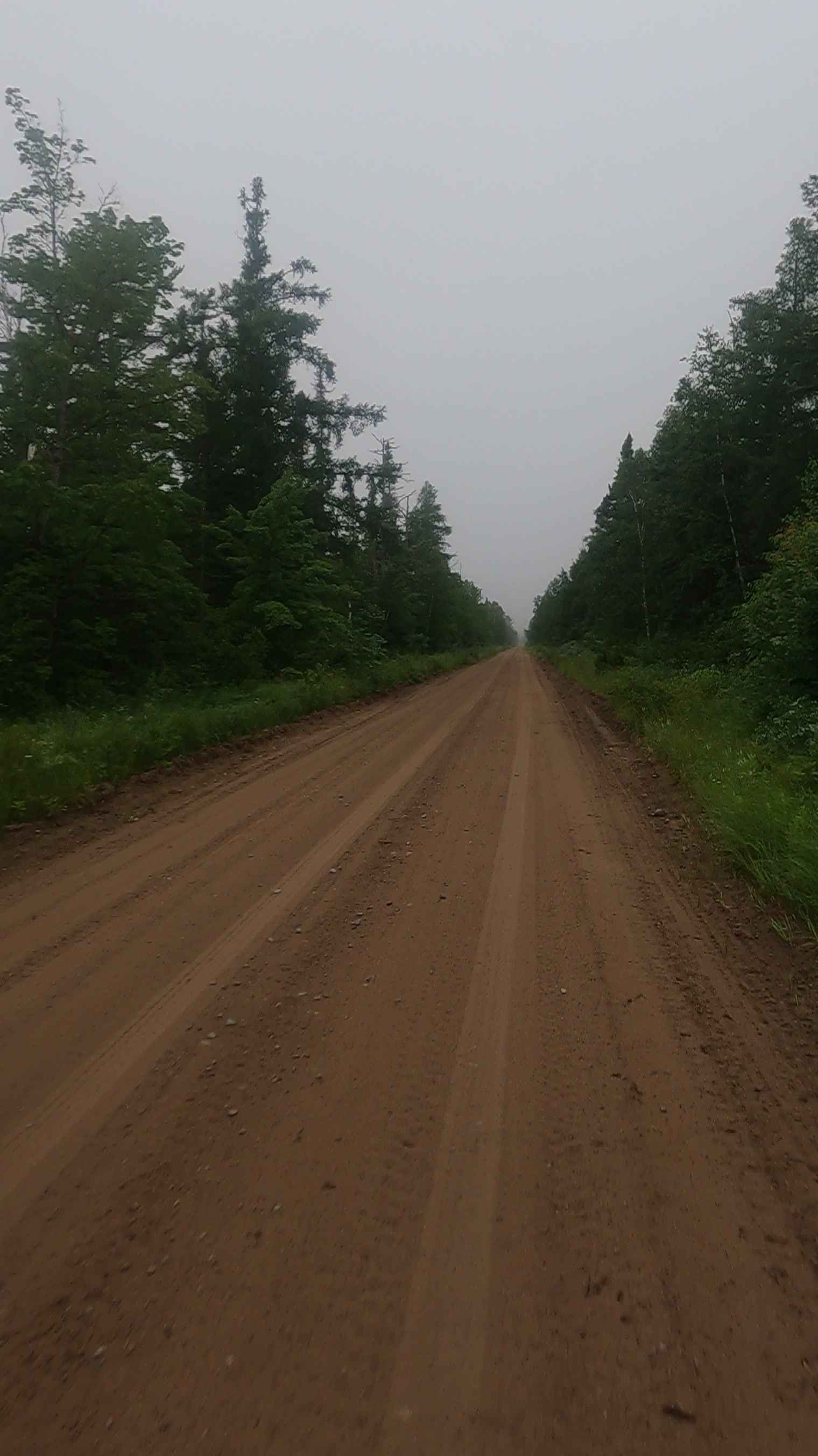 Petrel Road - County Road 689