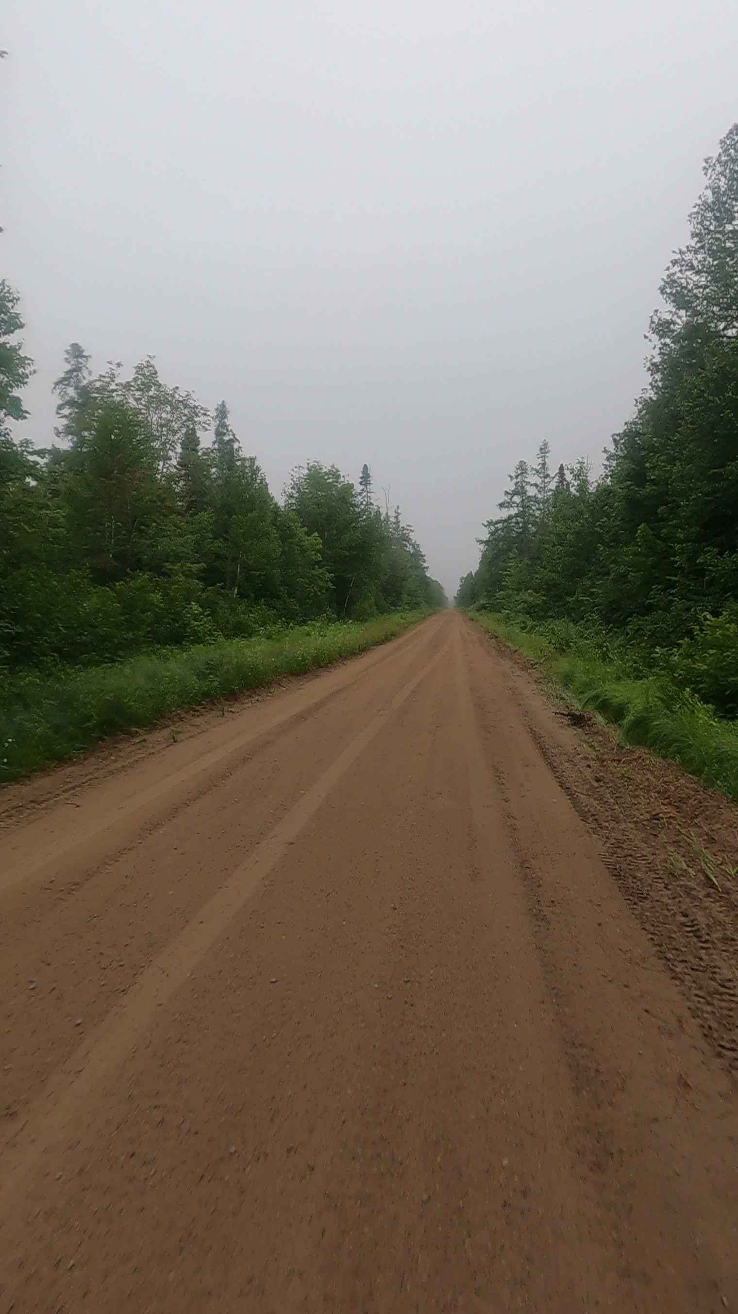 Petrel Road - County Road 689