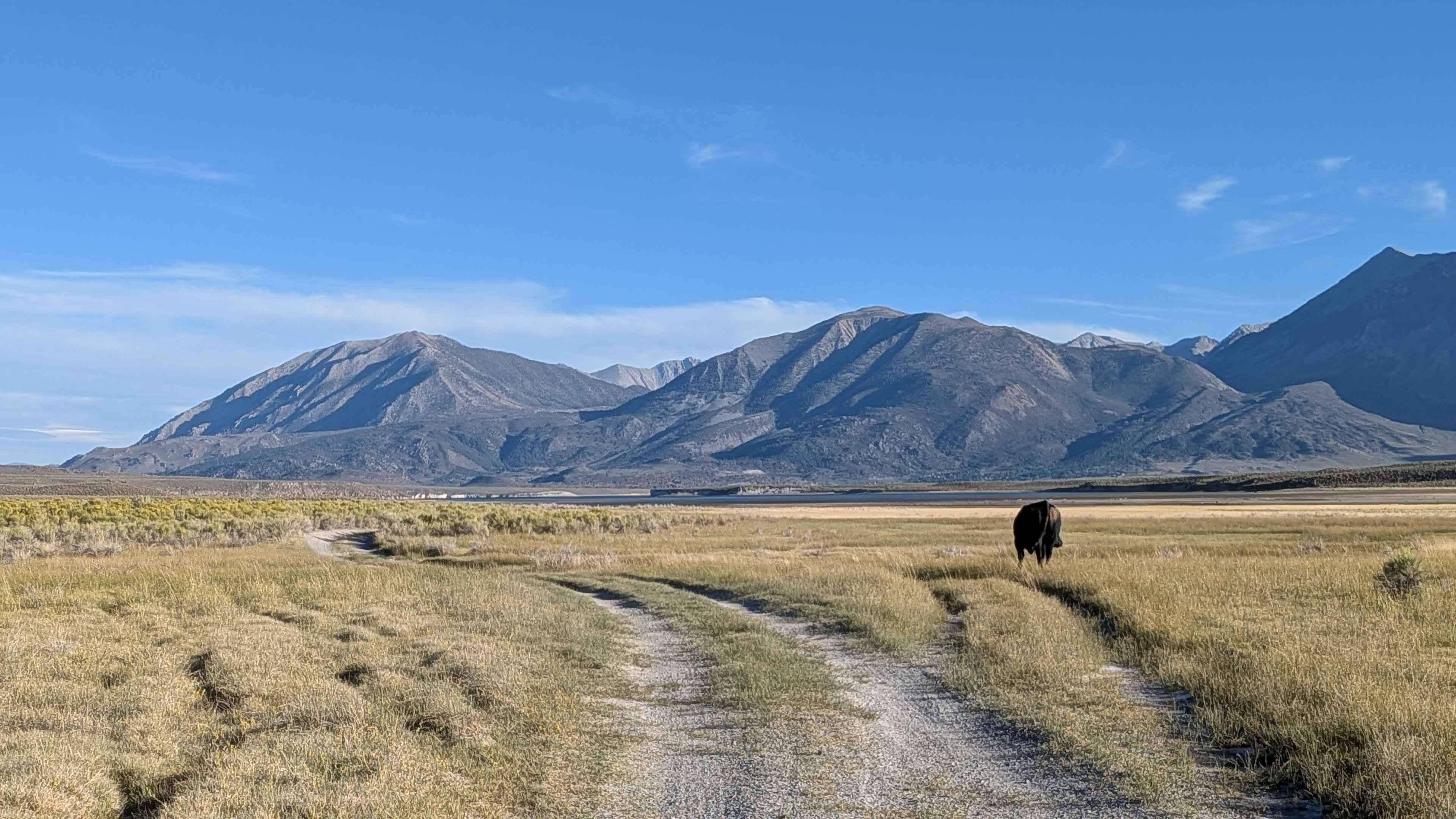 Lake Crowley Beach NE Run