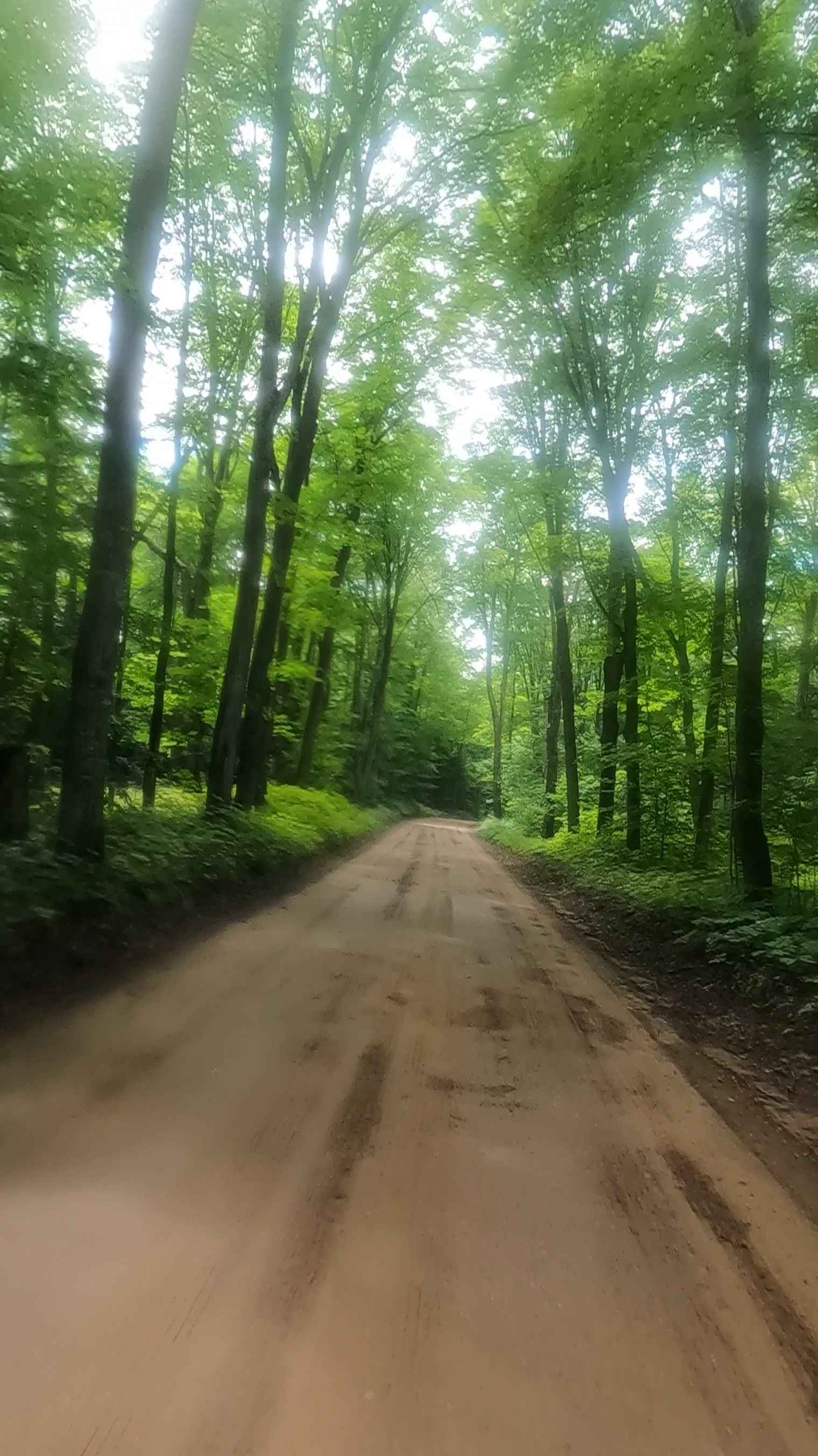 Little Indian - FFR 2257