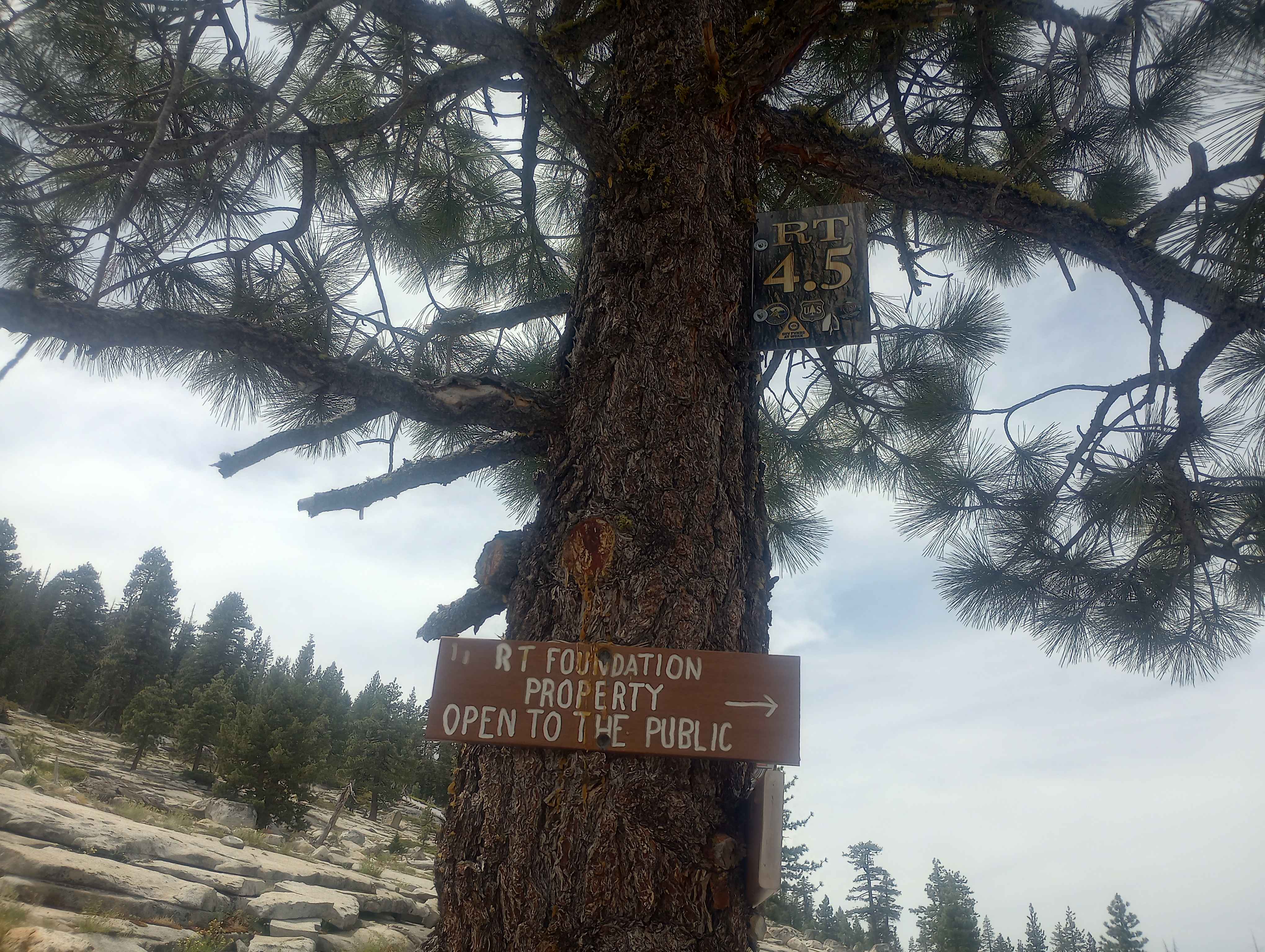Rubicon Trail Foundation Access Road