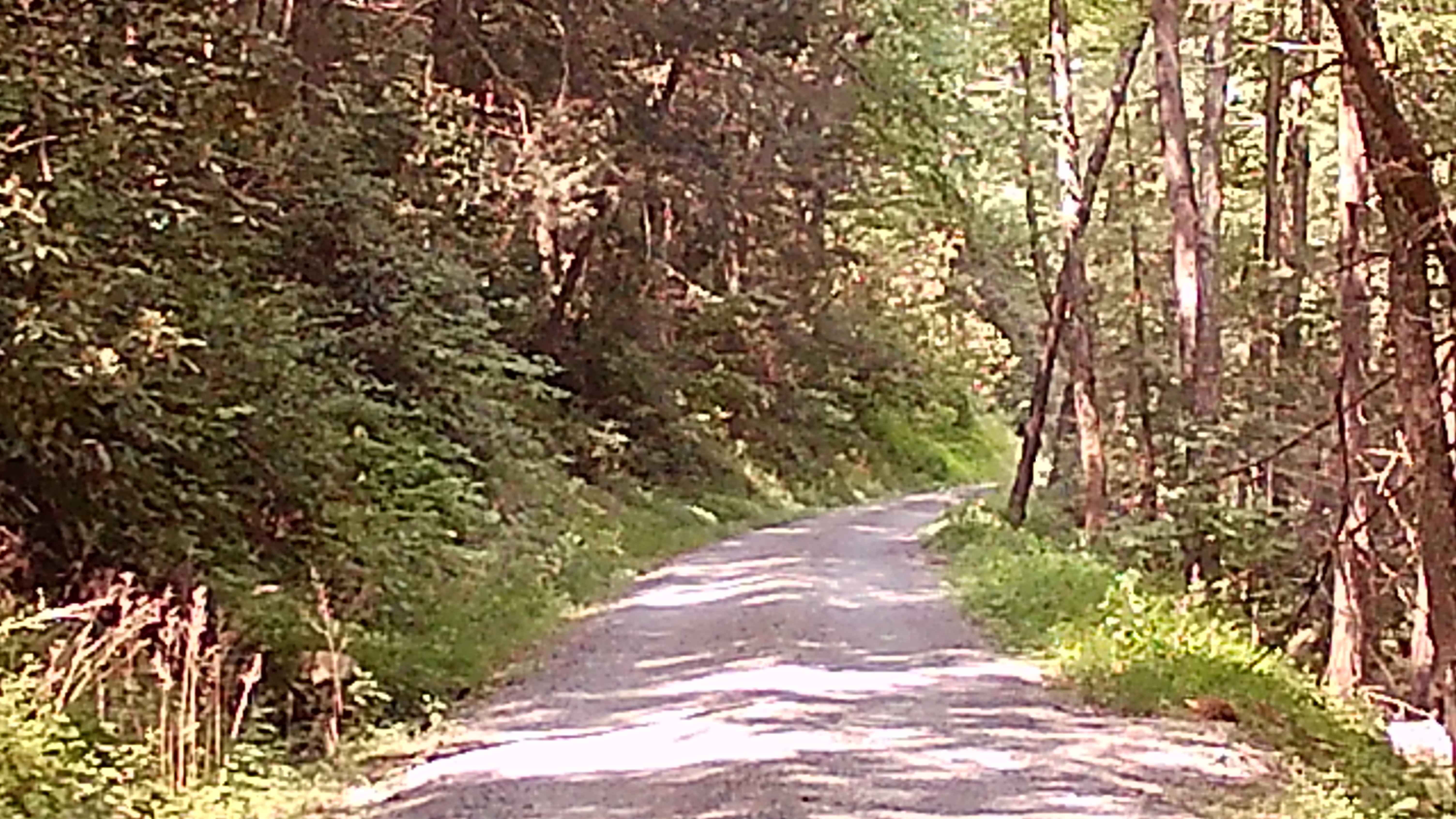 Weikert Run Road