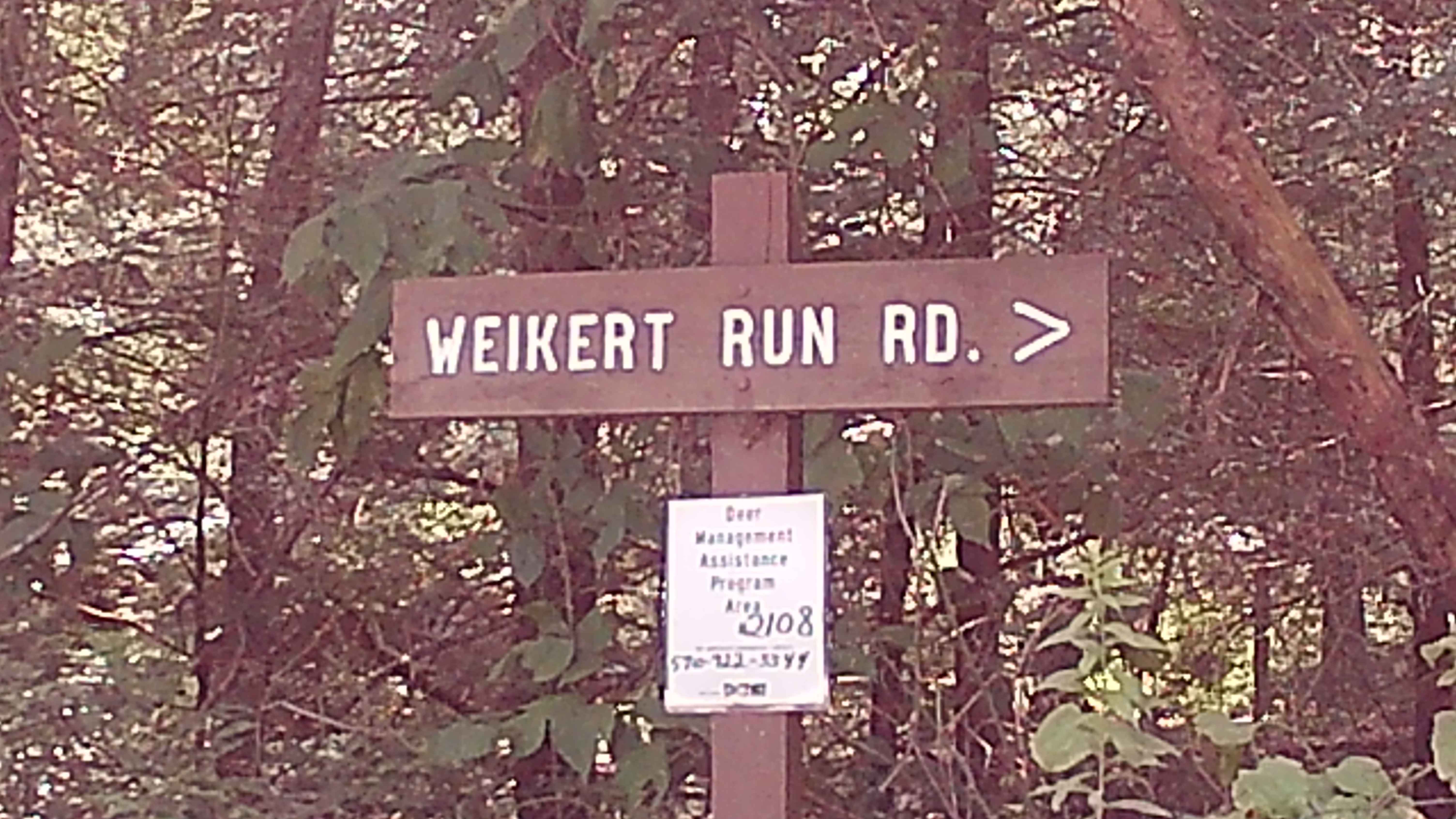 Weikert Run Road