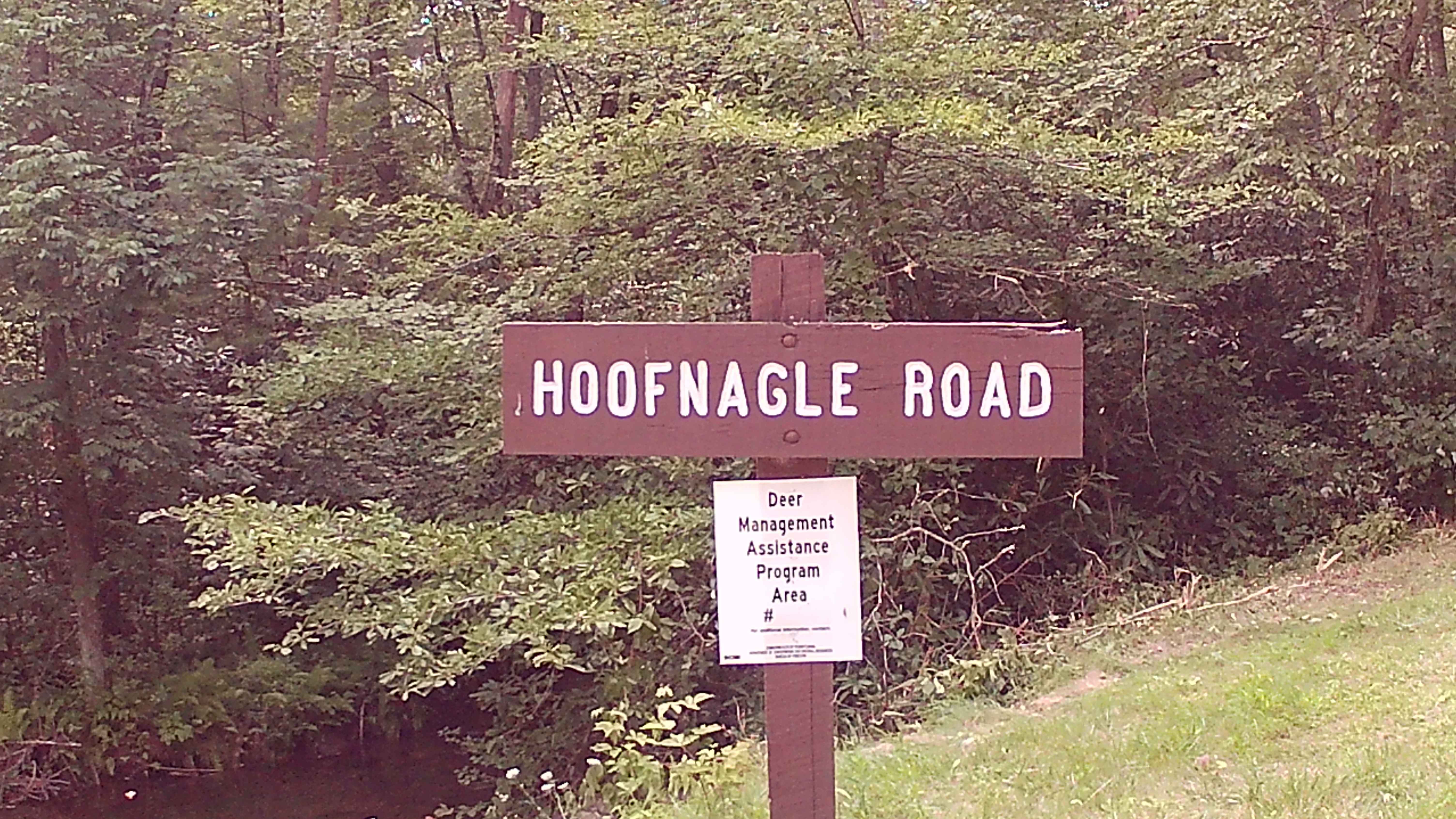 Hoofnagle Road