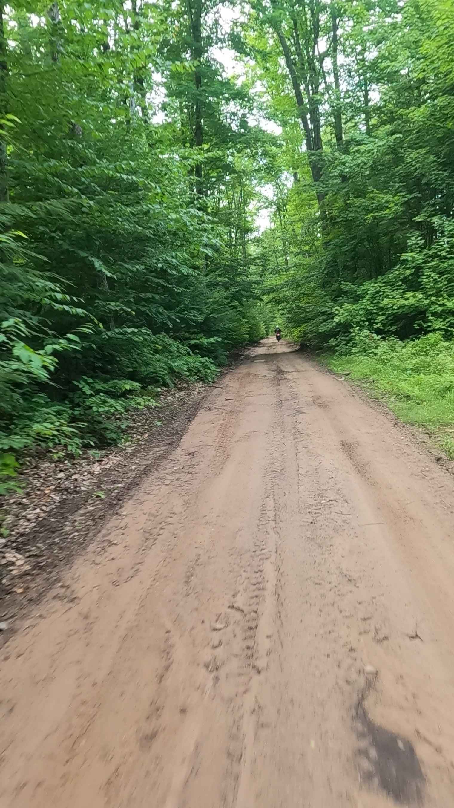 Booth Road - FSR 2225 East