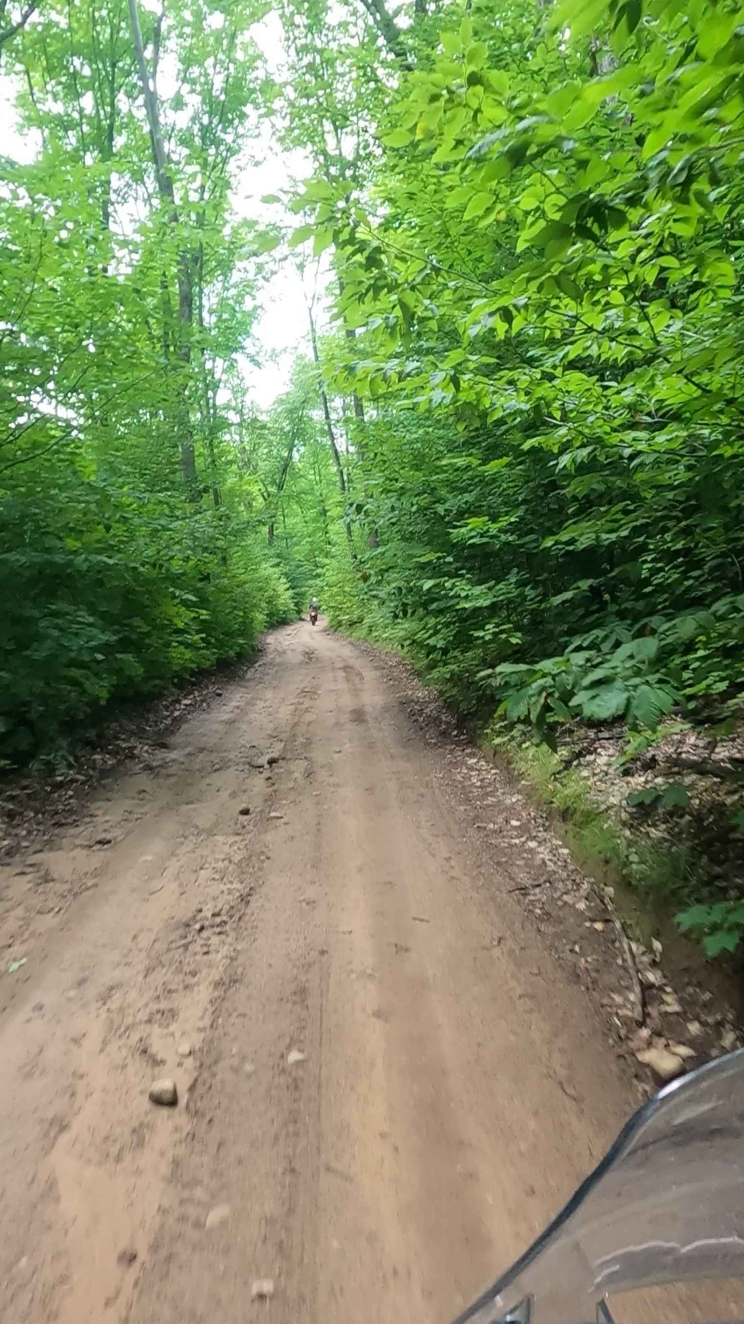 Booth Spur A (FSR 225A)