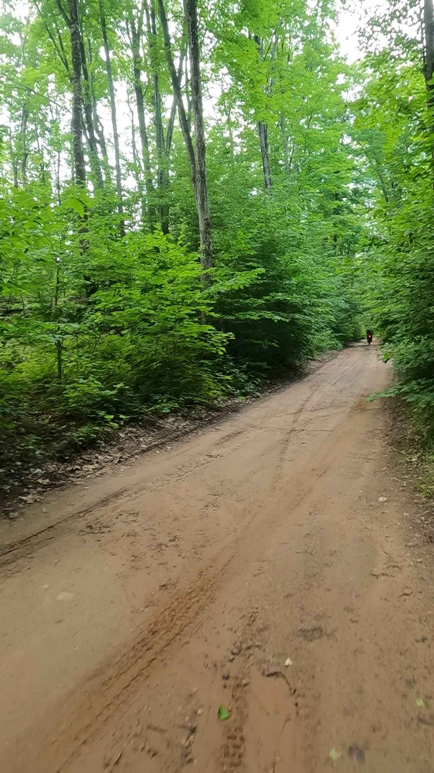 Booth Spur A (FSR 225A)