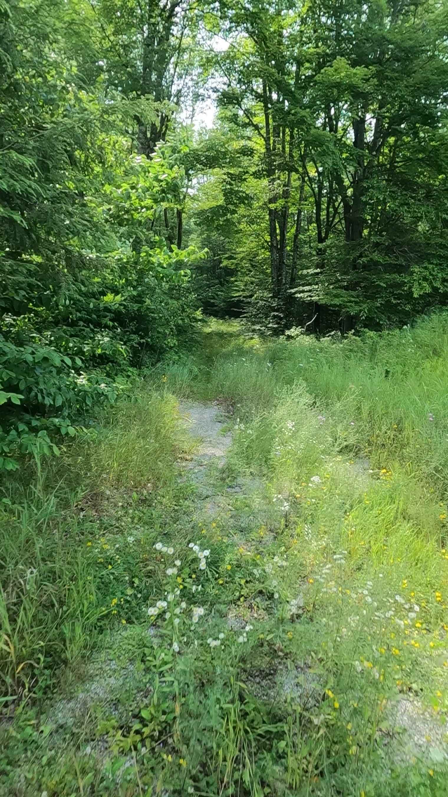 Kenobo Lake North - FSR 2024