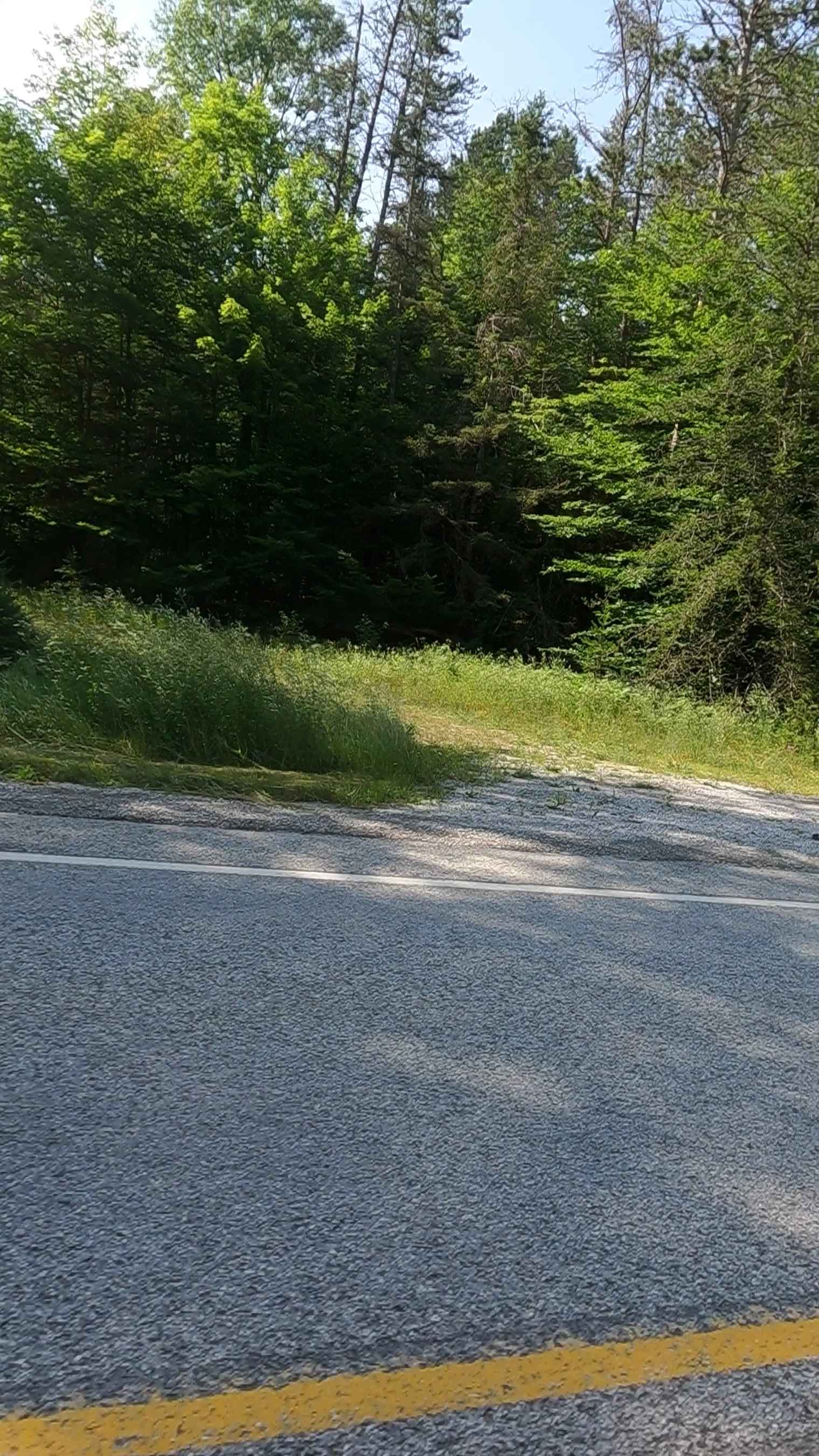 Kenobo Lake North - FSR 2024