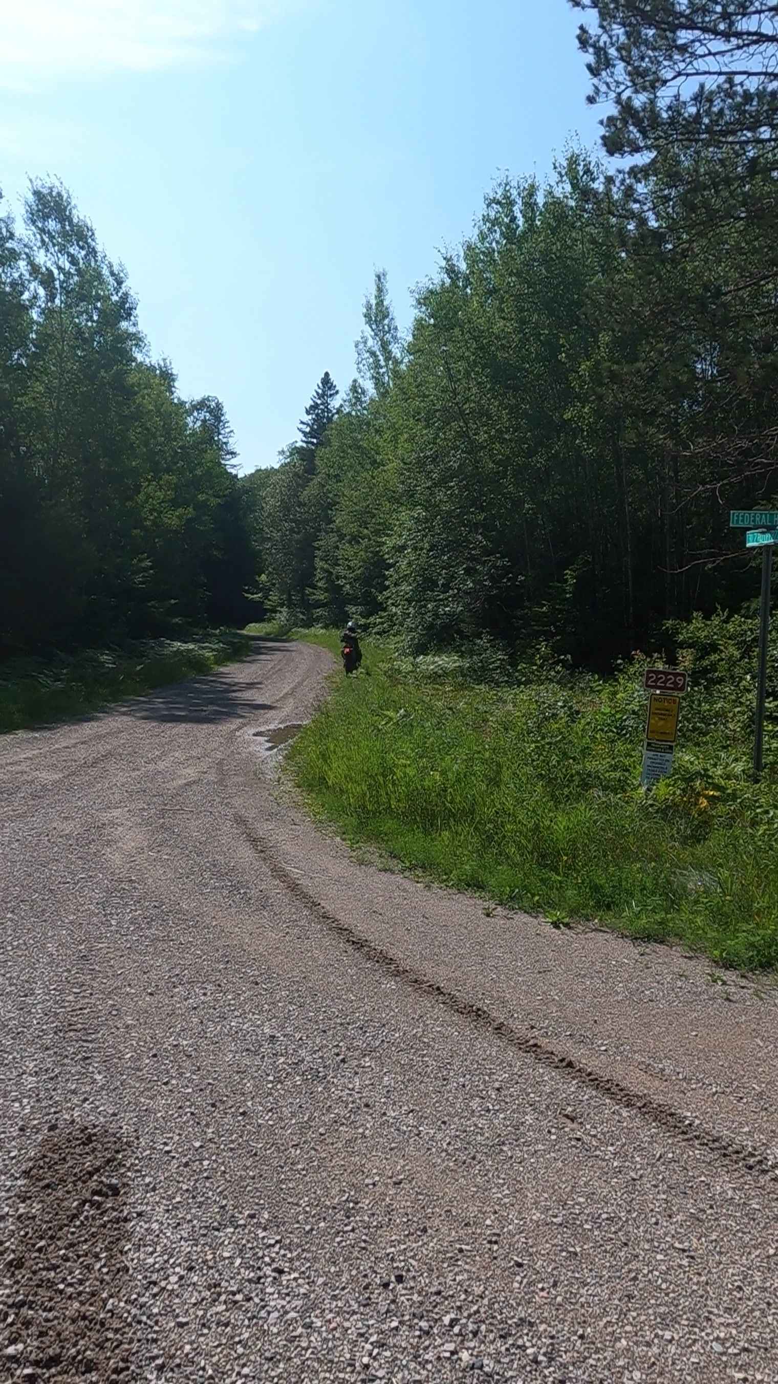 Sturgeon River Road - FSR 2229