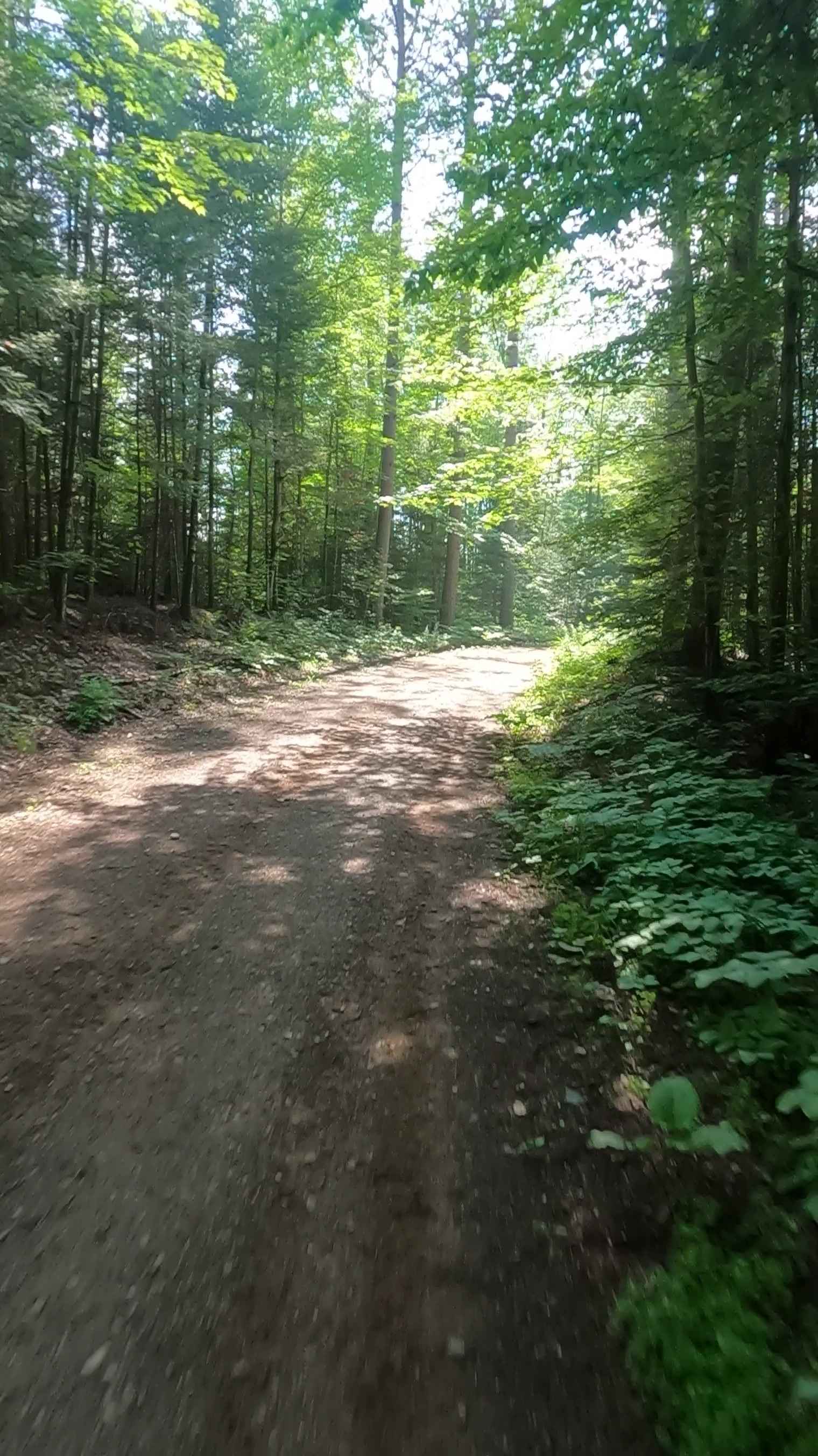 Little Black River - FSR 2233