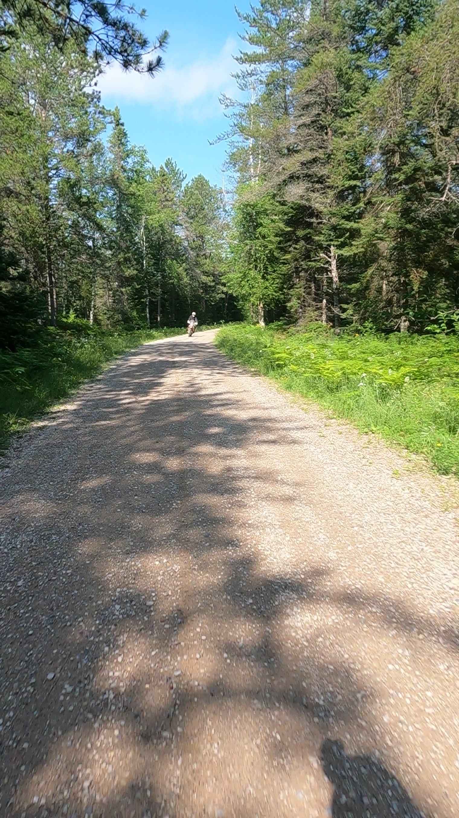 Little Black River - FSR 2233