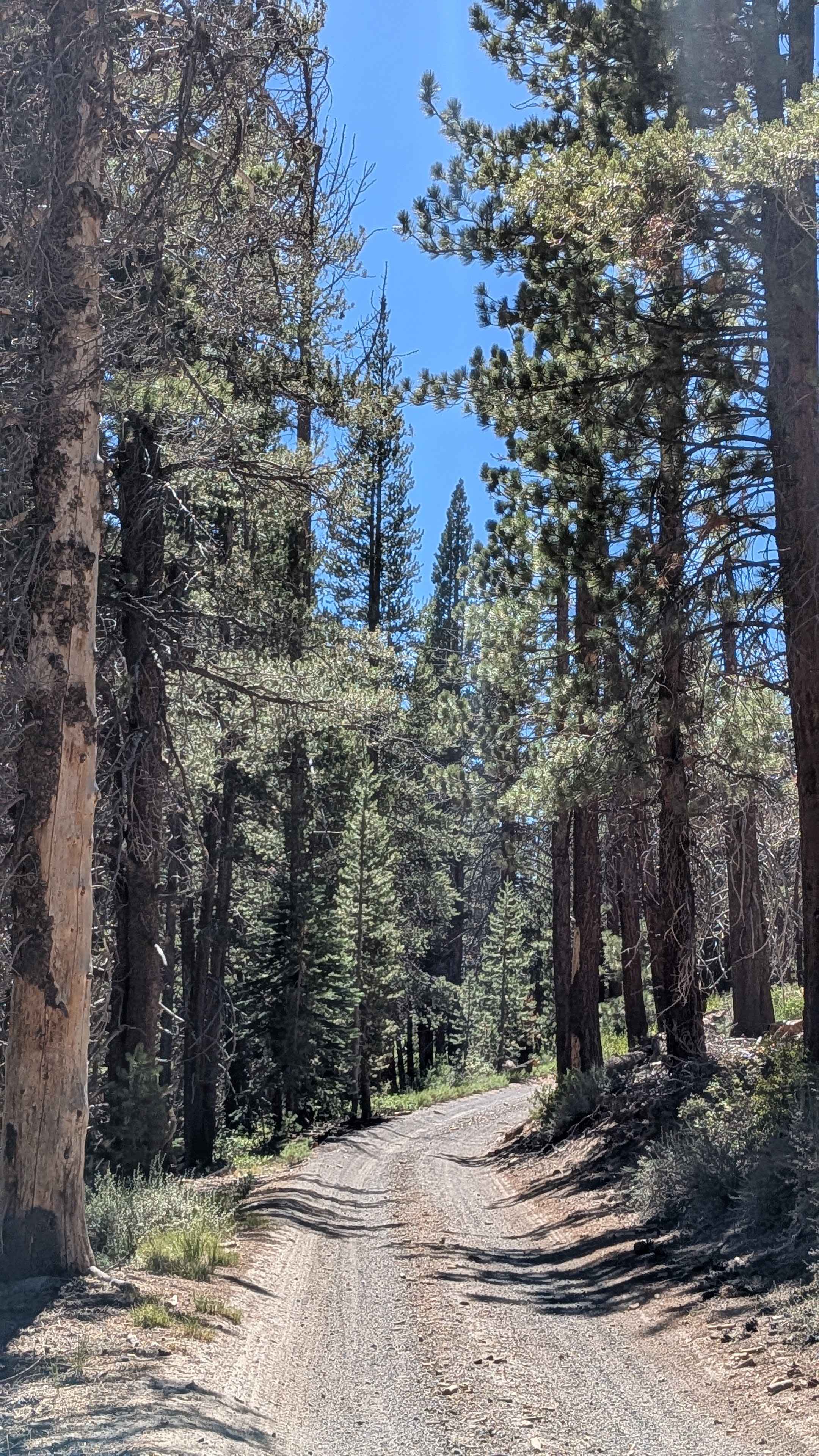 Dry Creek Road - FS3S22