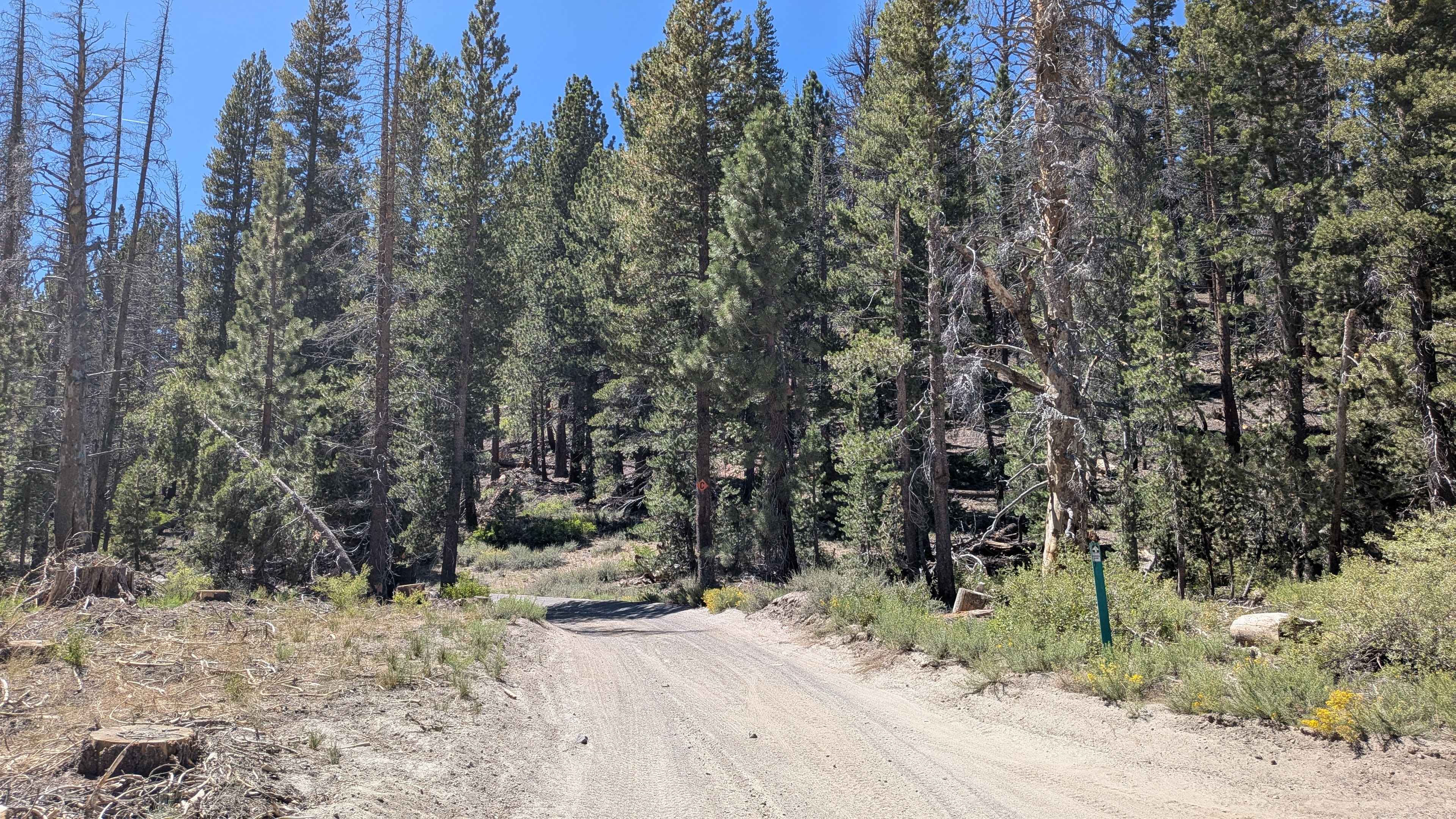 Dry Creek Road - FS3S22