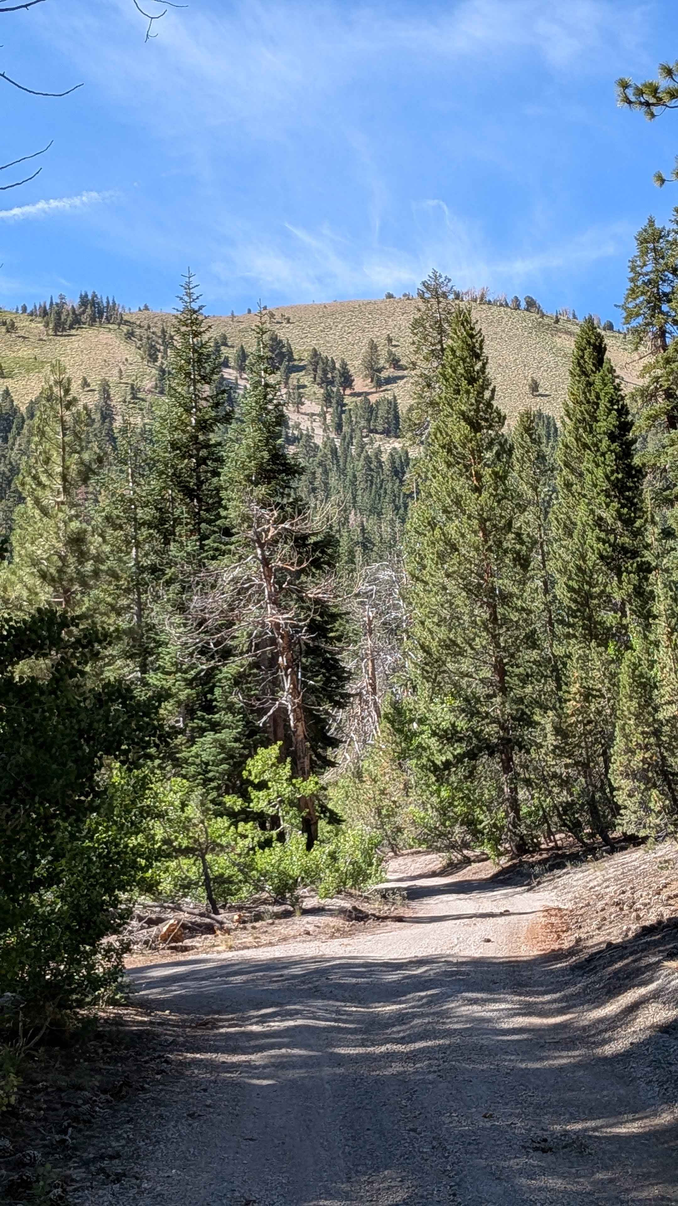 Deadman Creek Road FS32E03-SNO