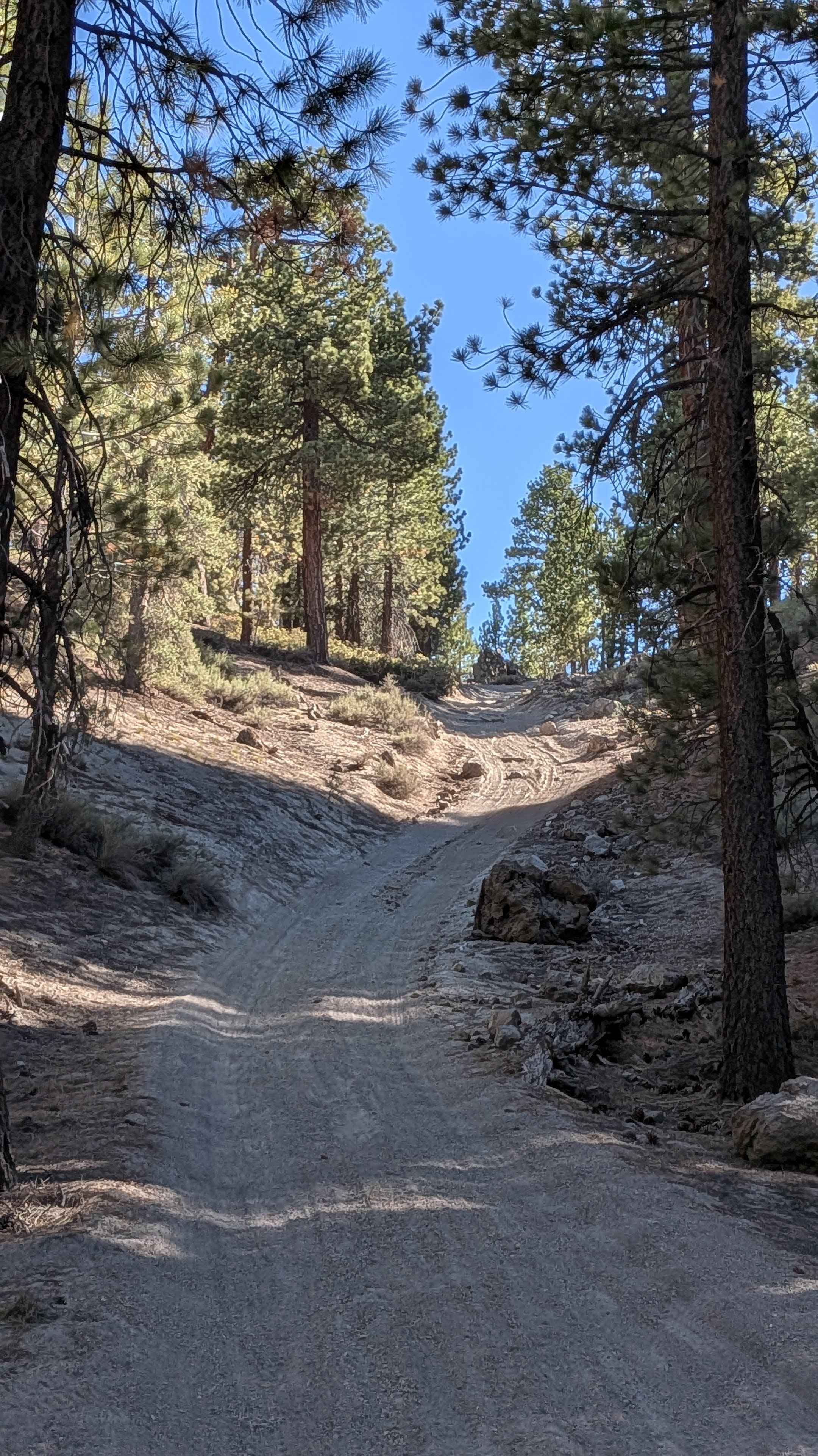 Glass Spur A FS 2S23A