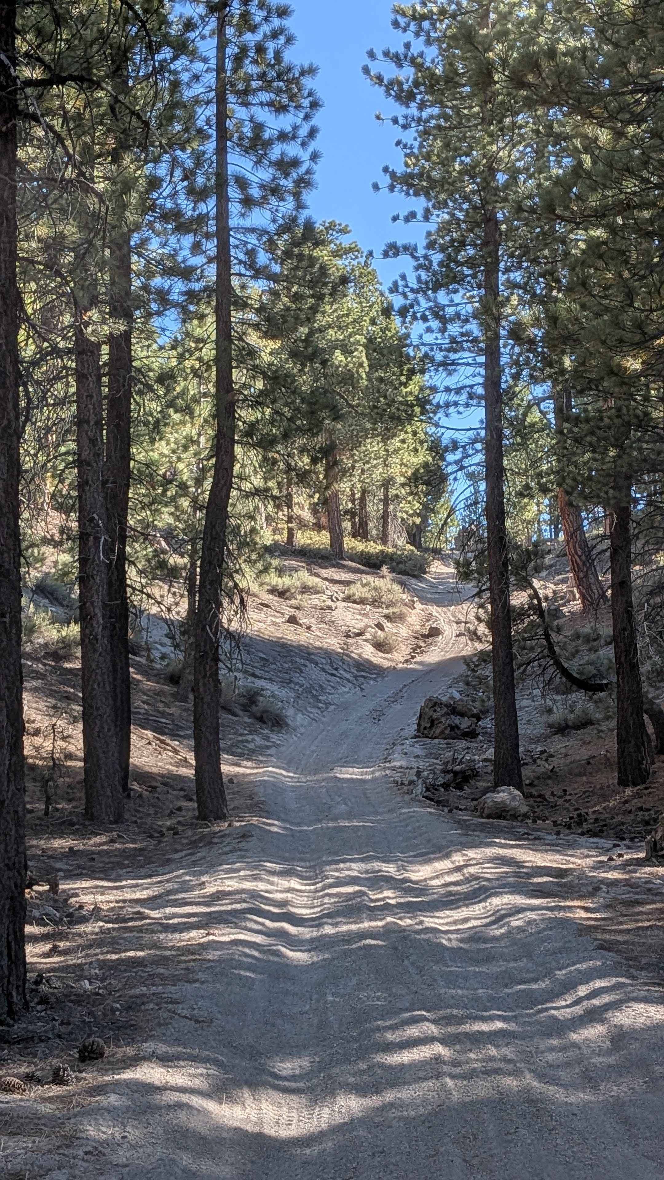 Glass Spur A FS 2S23A