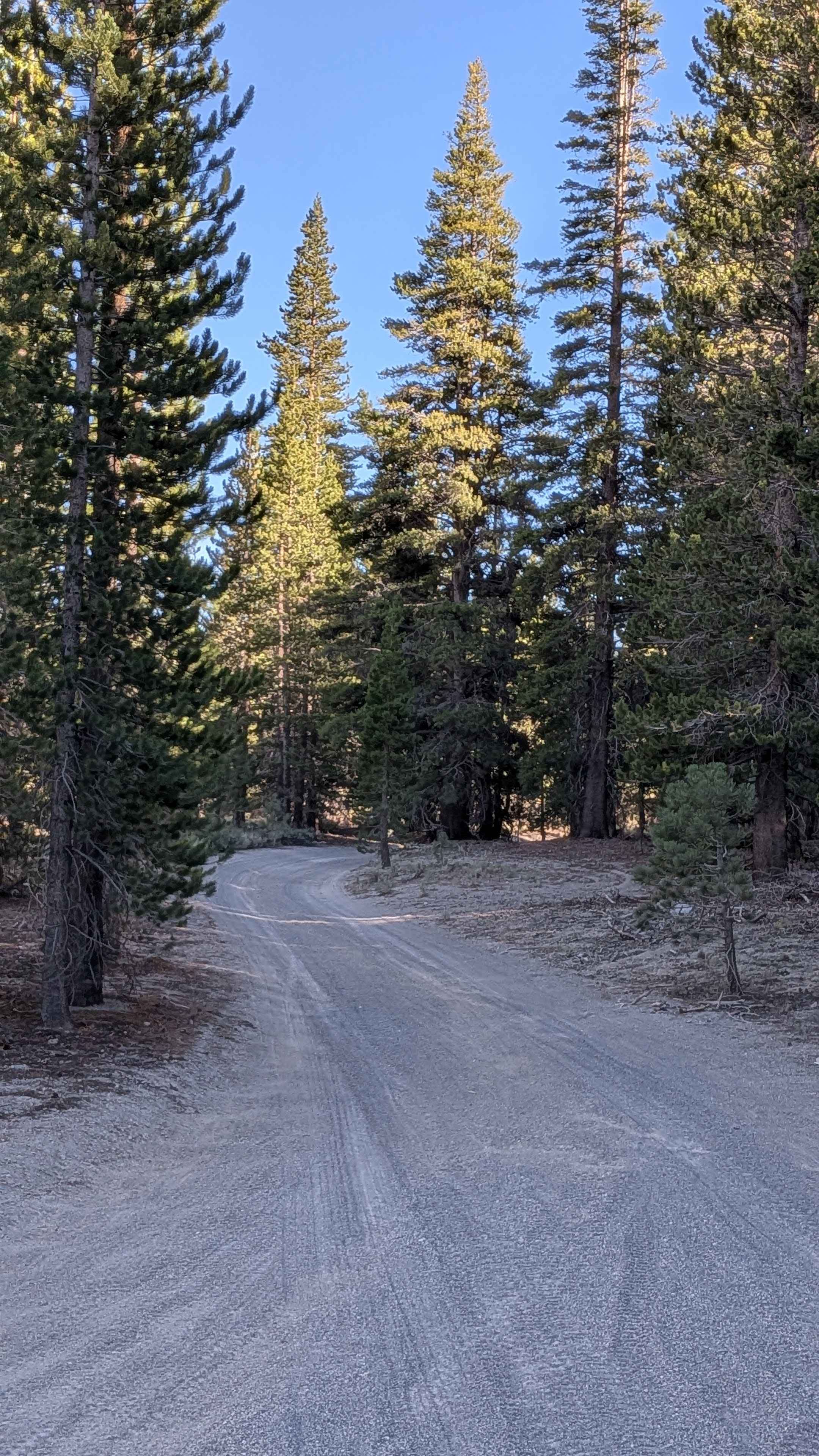 FS 2S05F Obsidian Flat Group Campground