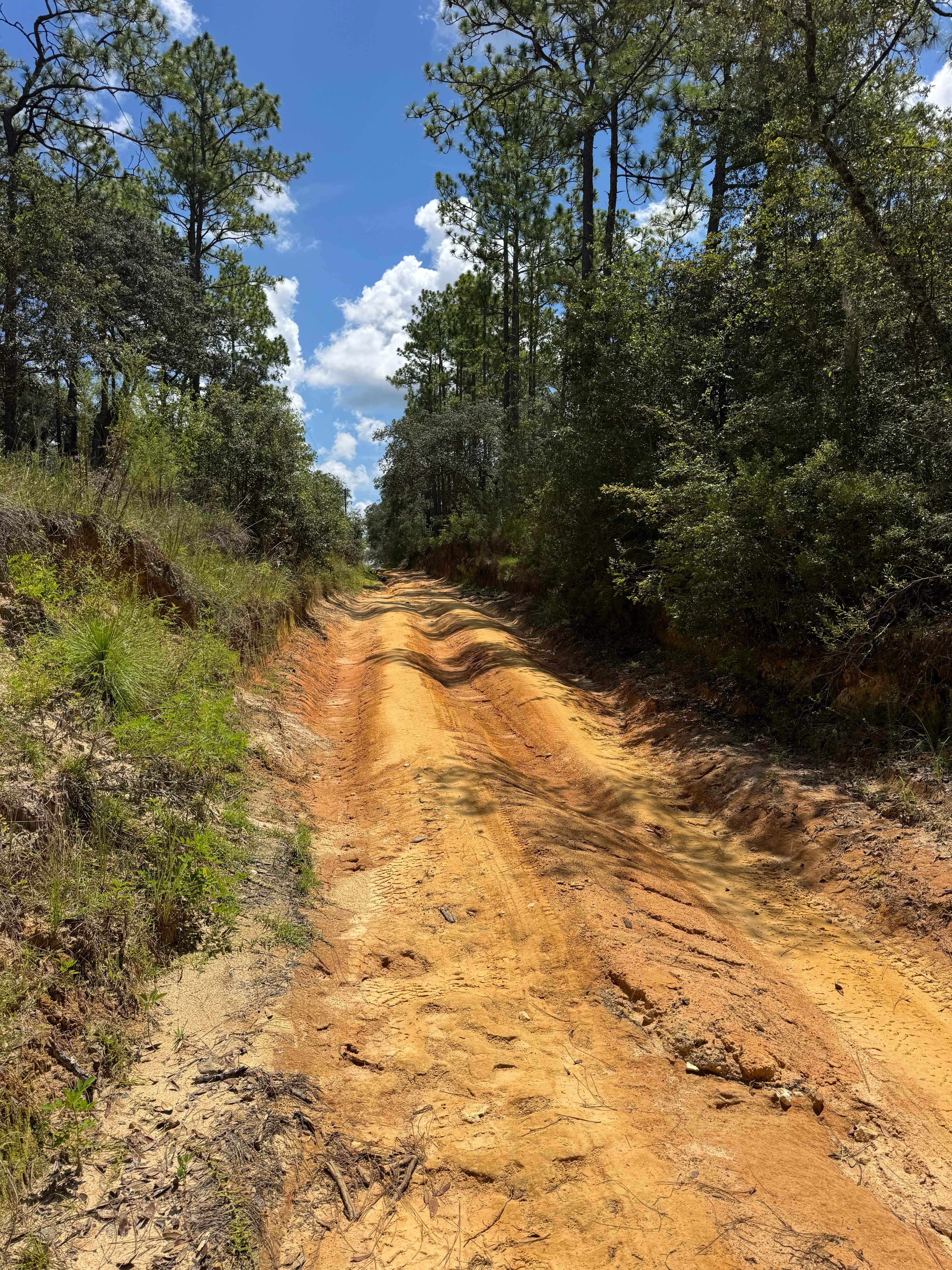 Trail 10 - Citrus WMA