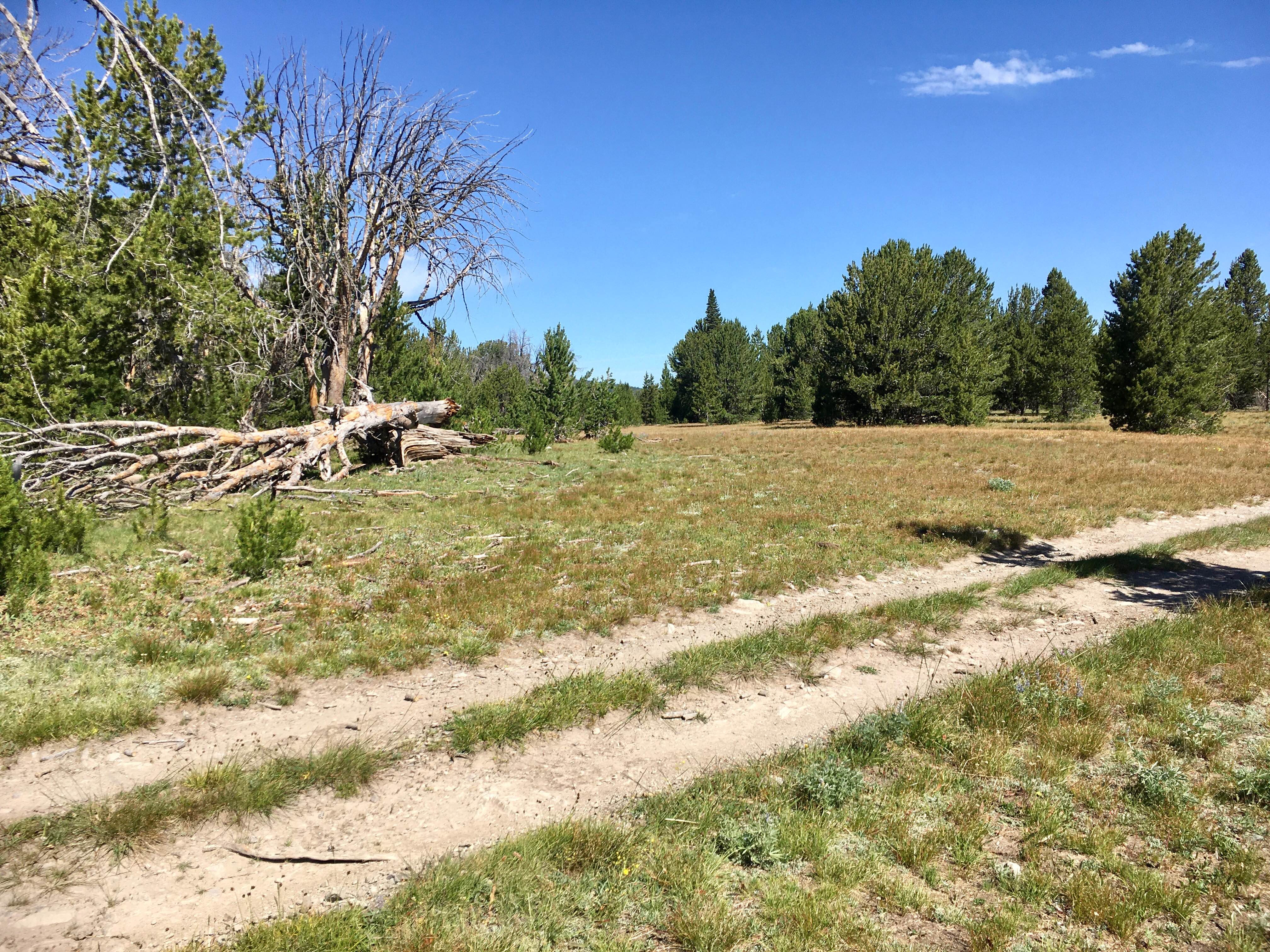 Black Canyon Ridge Road