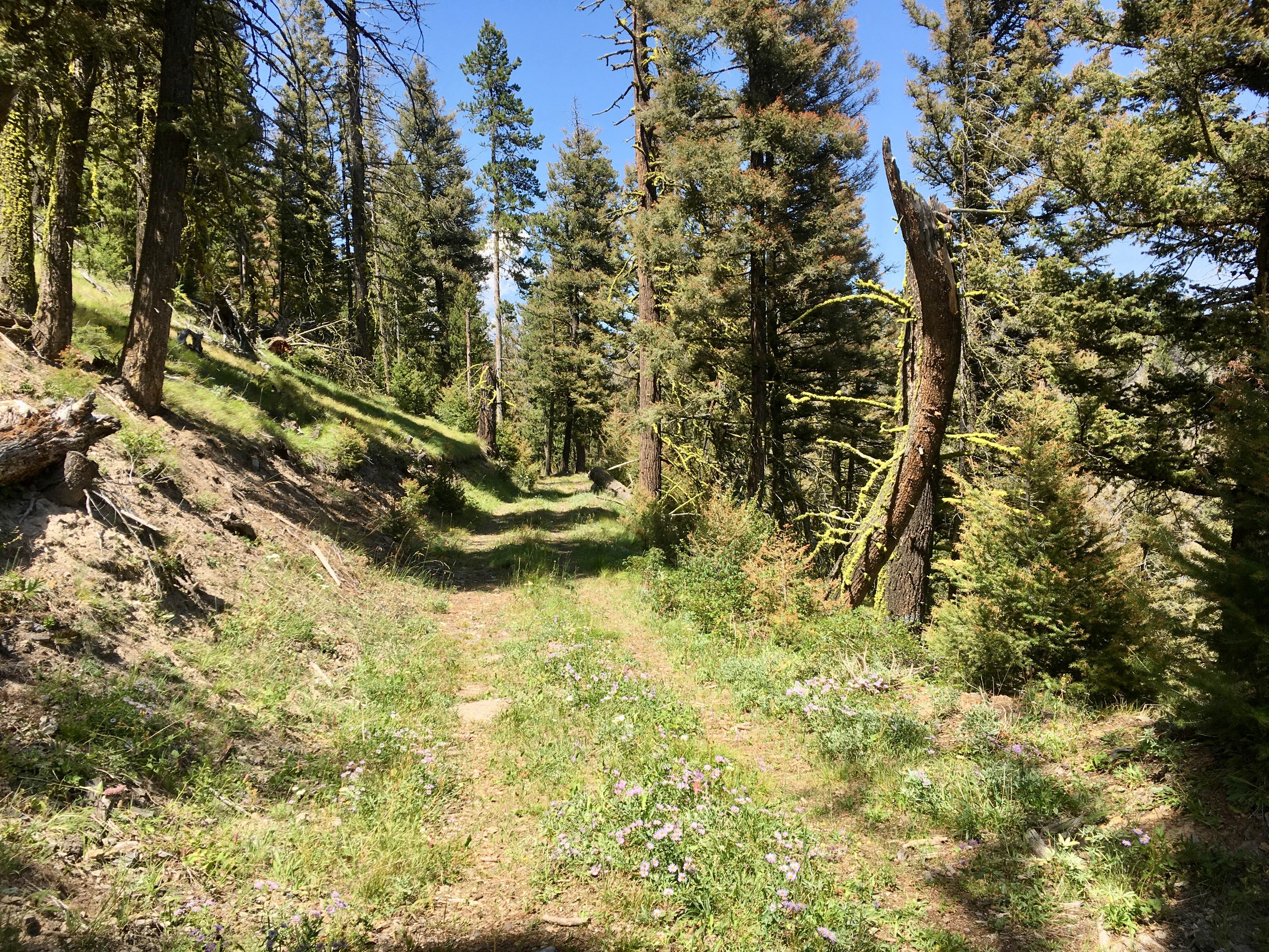 Queen - Agency ATV Route