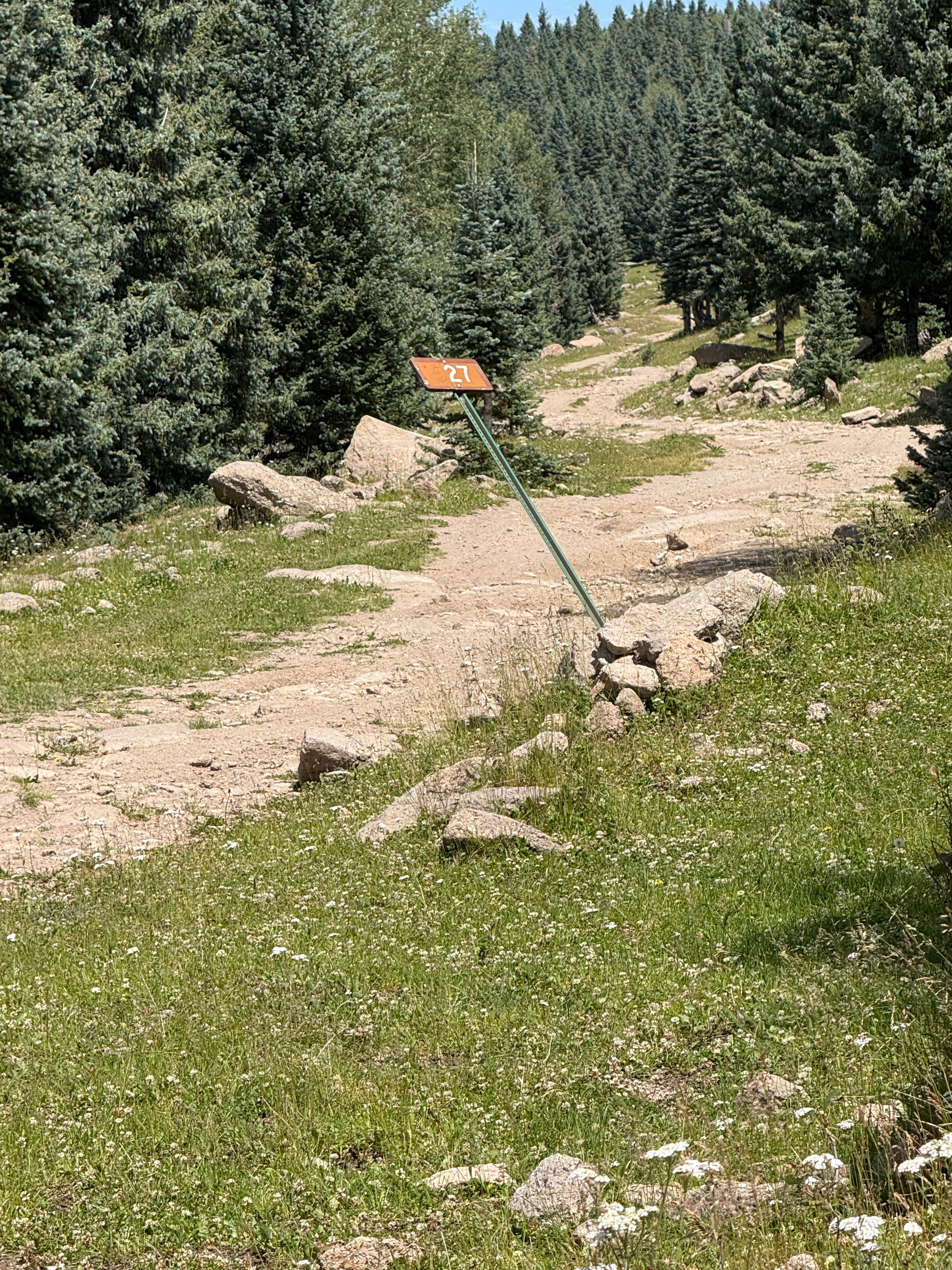 Cienega Redonda - FS 27