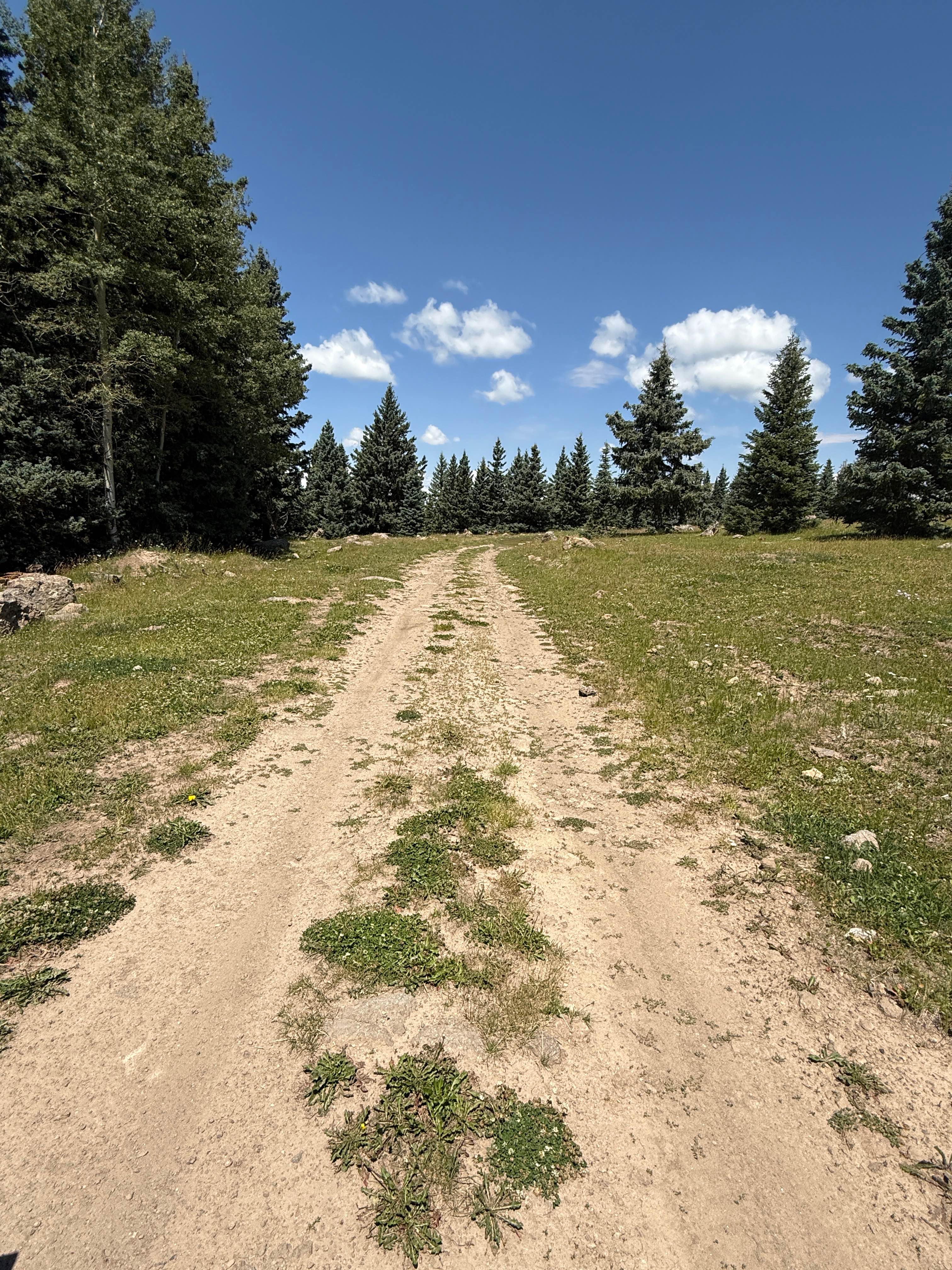 Cienega Redonda - FS 27