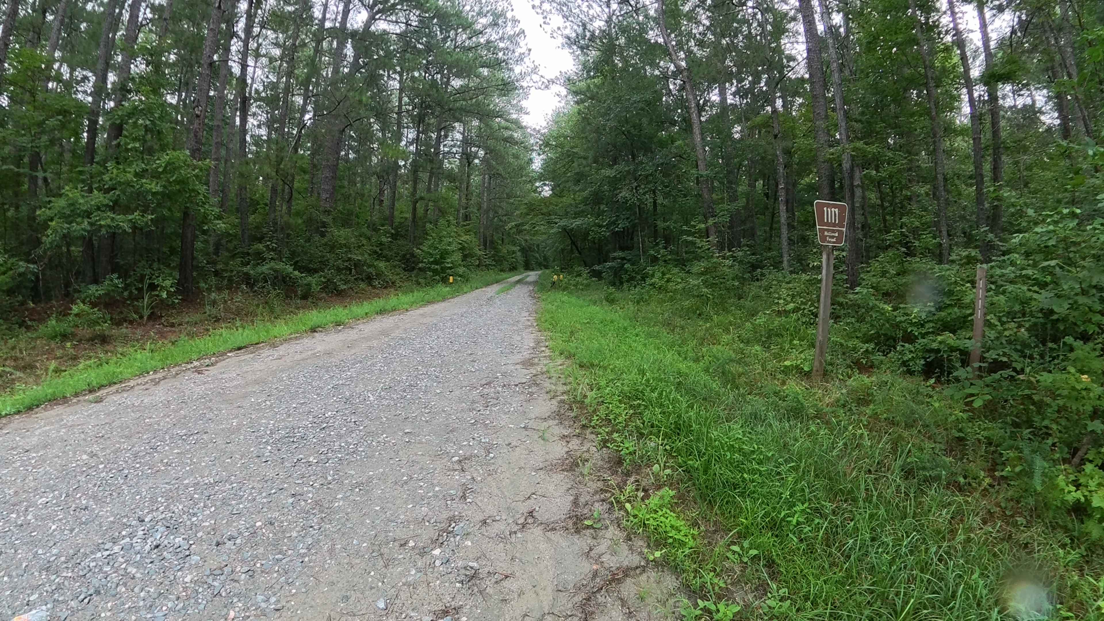 Harmon Rye - FS 1111