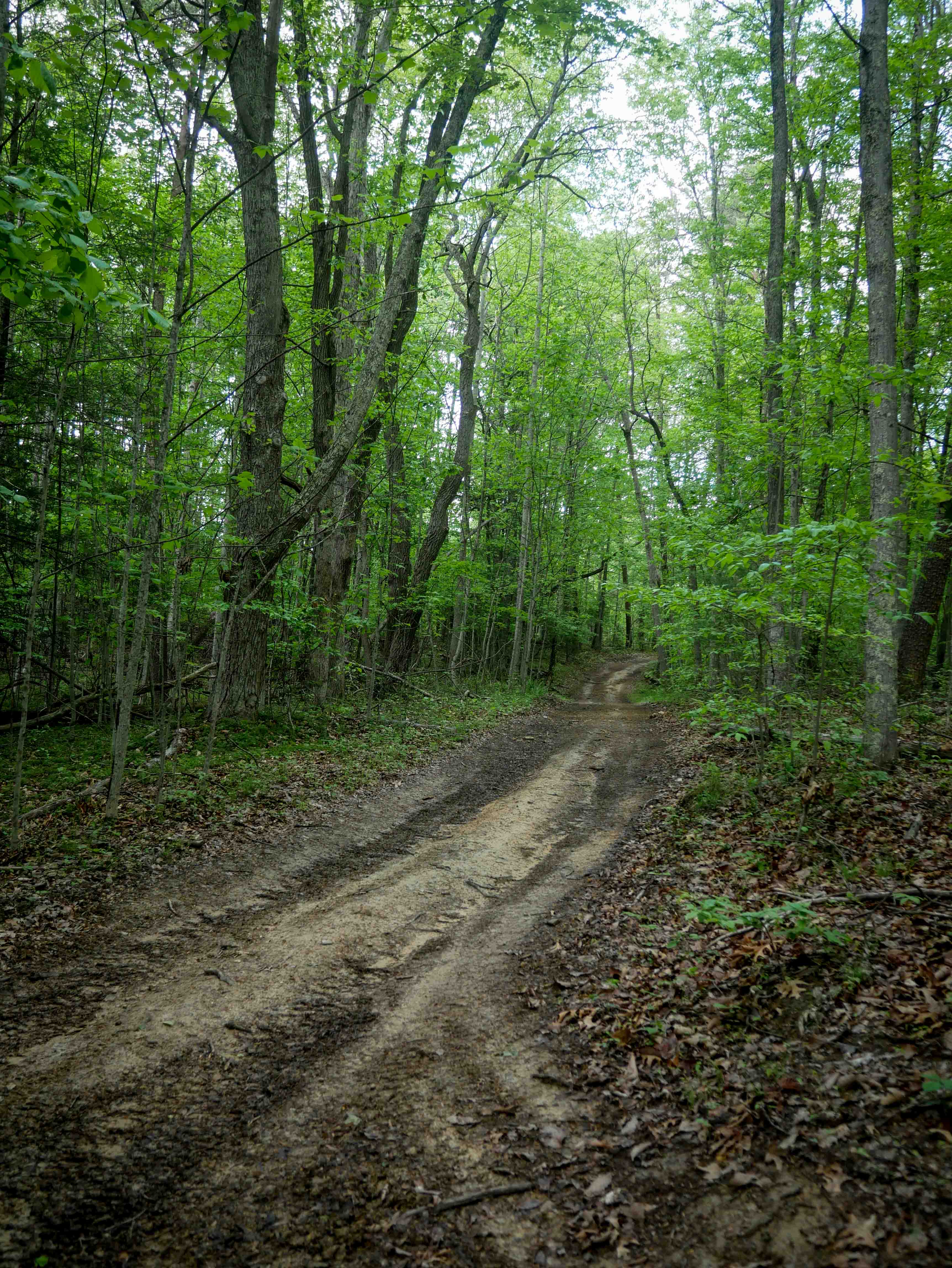 Trail 9