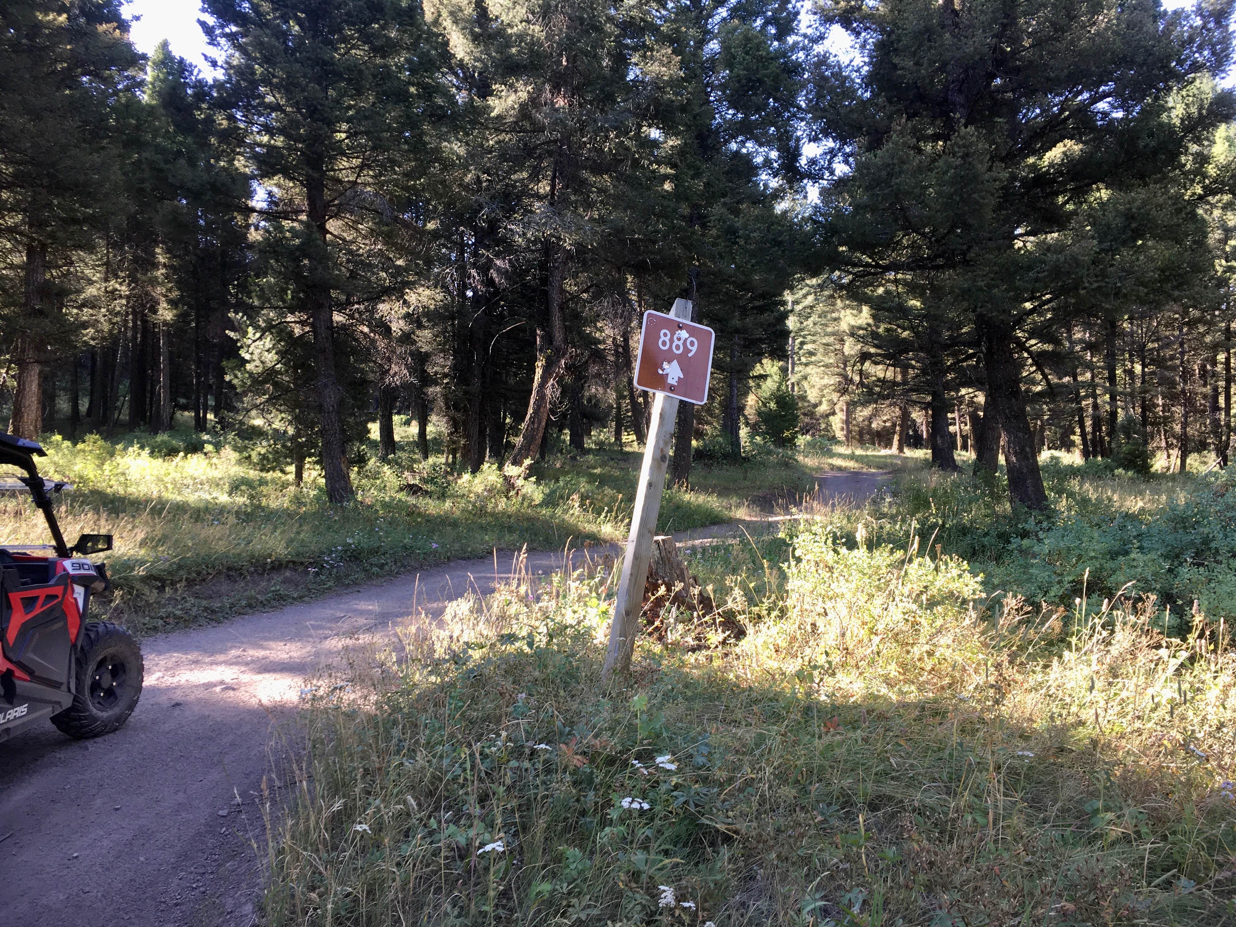 Spring Creek Road - FS 889