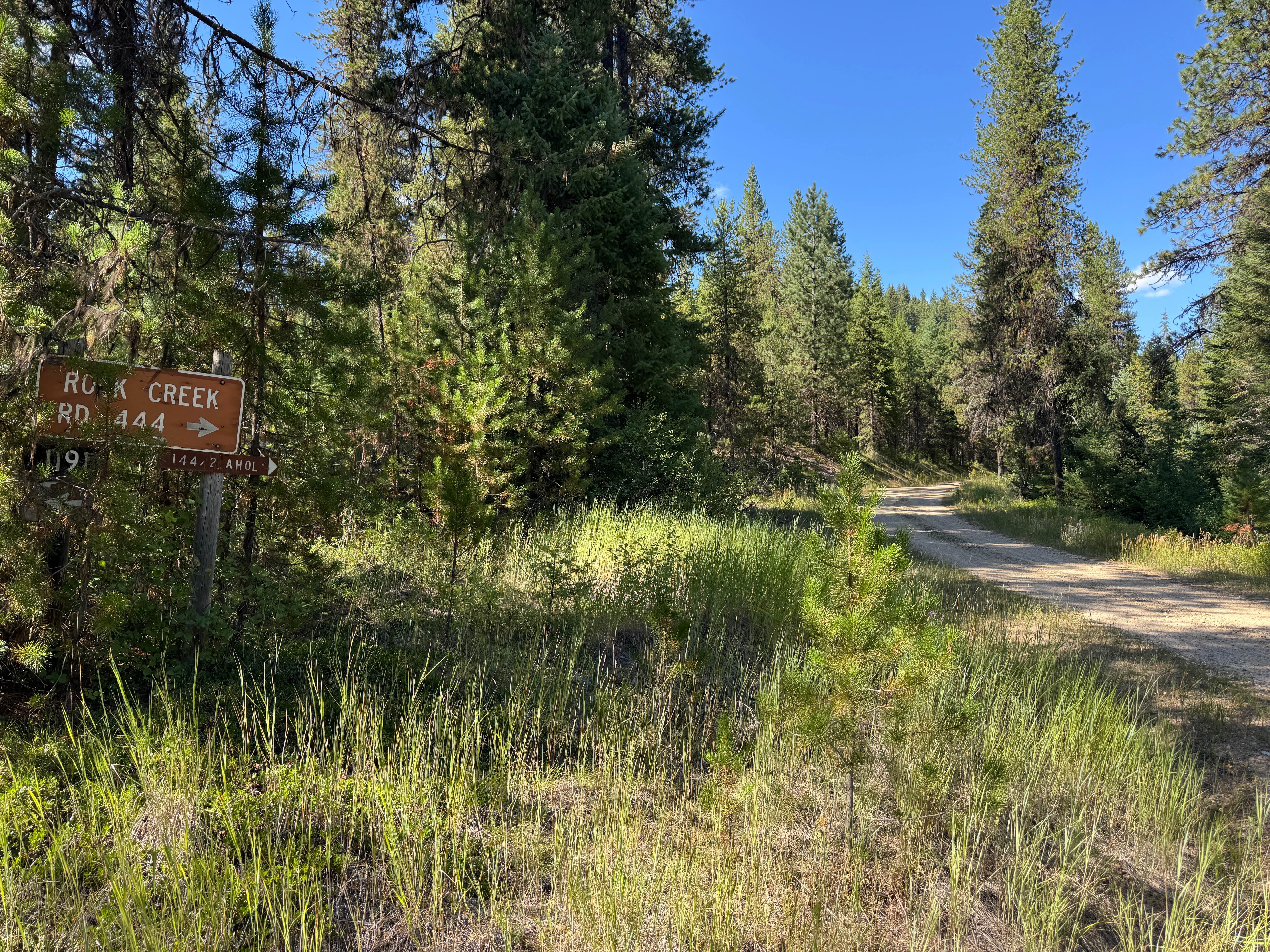 Rock Creek Road - FSR 444