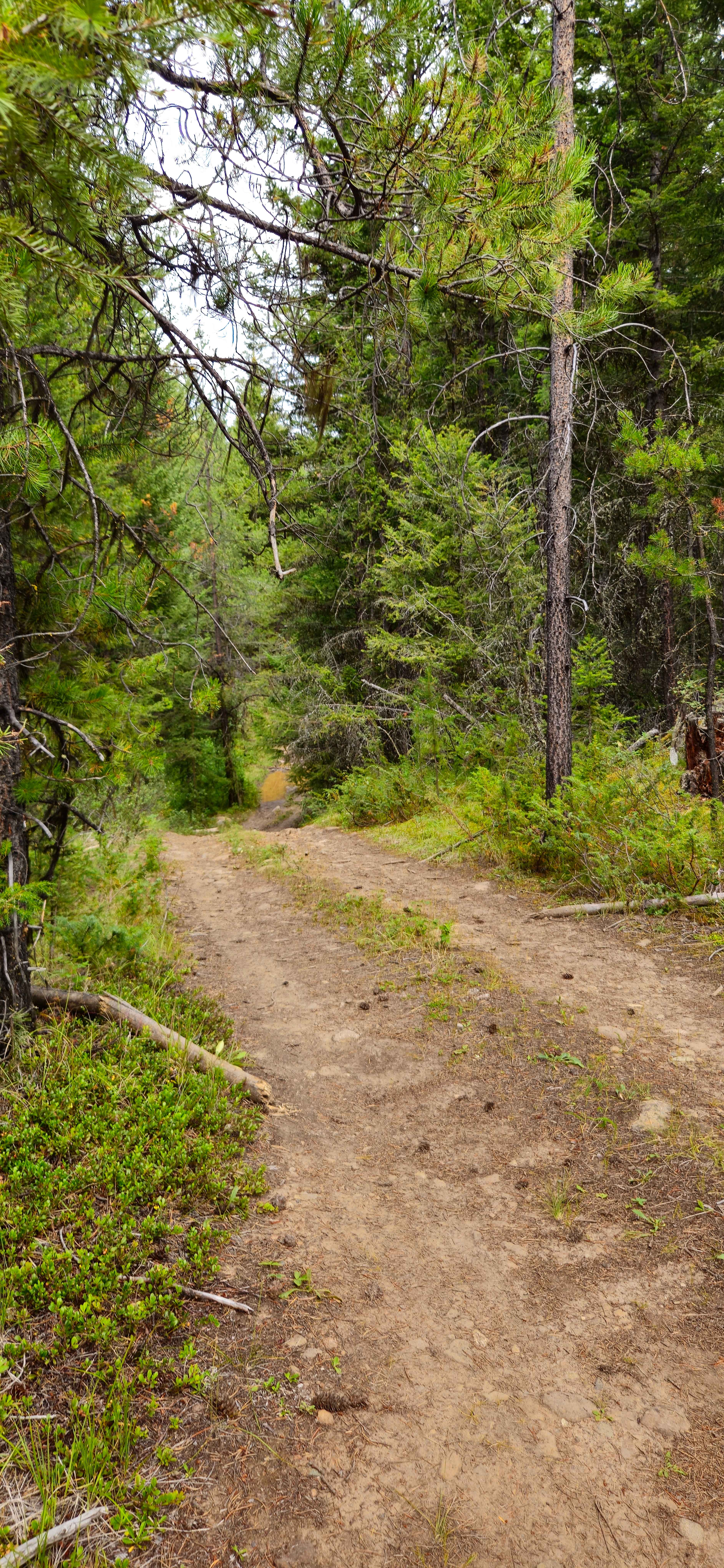 CP Flight 21 Crash Site Trail