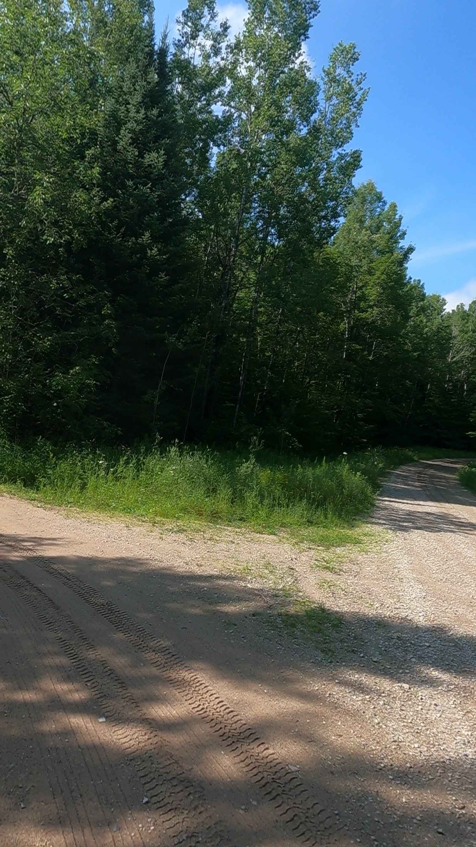 Little Black River Spur C (FSR 2233C)