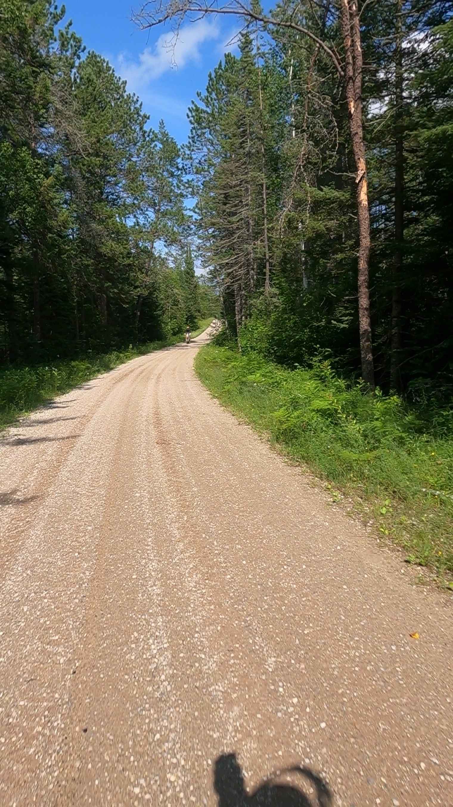 Little Black River Spur C (FSR 2233C)