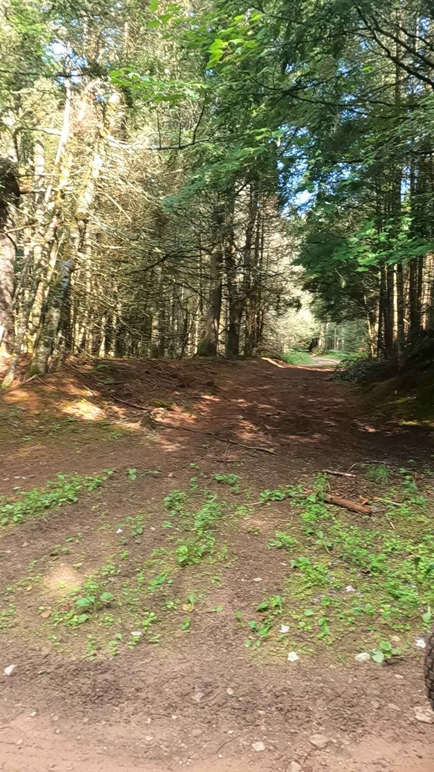 Ensign Spur C - FSR 2235G